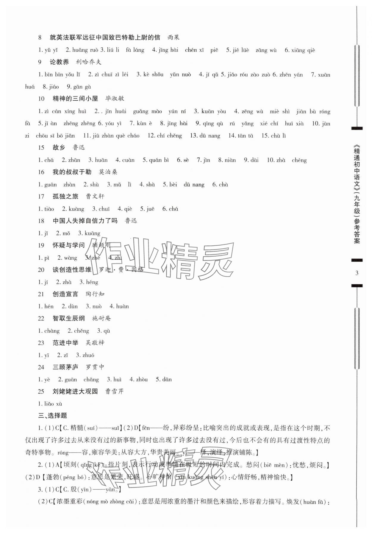 2025年精通初中語(yǔ)文九年級(jí)人教版 參考答案第3頁(yè)