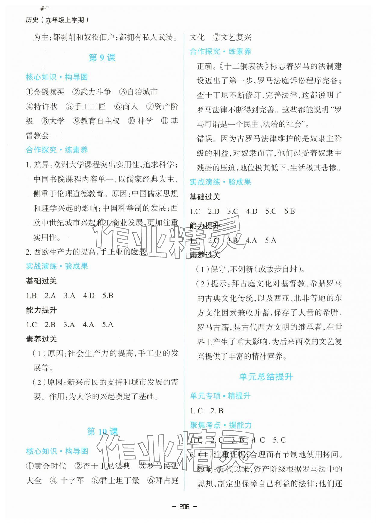 2025年新课堂同步学习与探究九年级历史全一册人教版 第6页