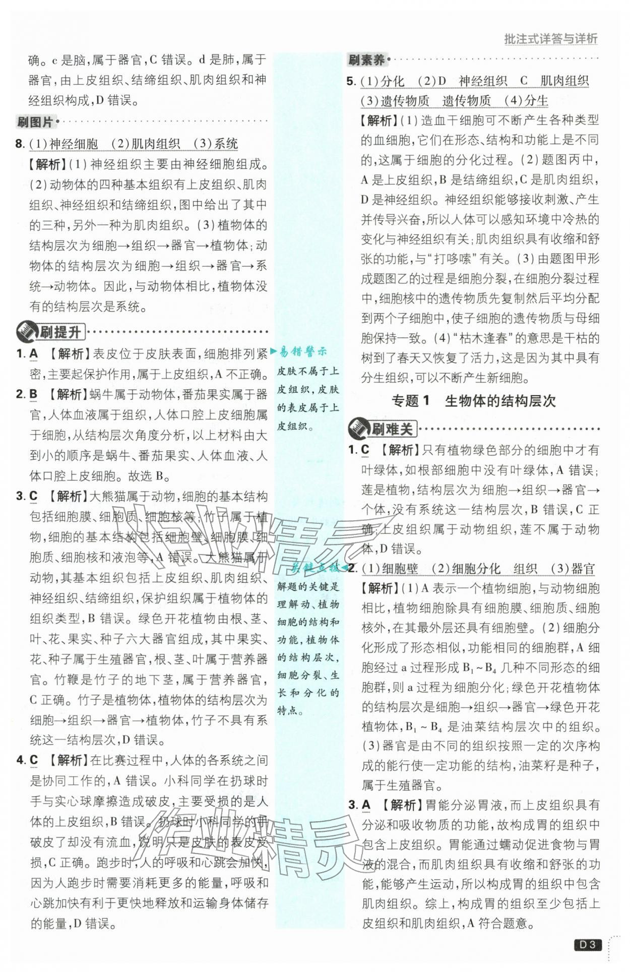 2026年初中必刷题七年级科学下册浙教版浙江专版&nbsp;第3页