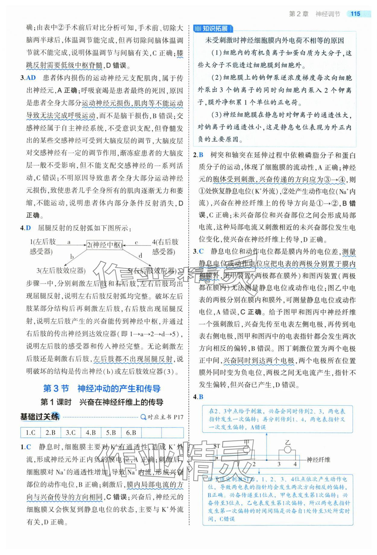 2025年5年高考3年模擬高中生物選擇性必修1人教版 第13頁(yè)