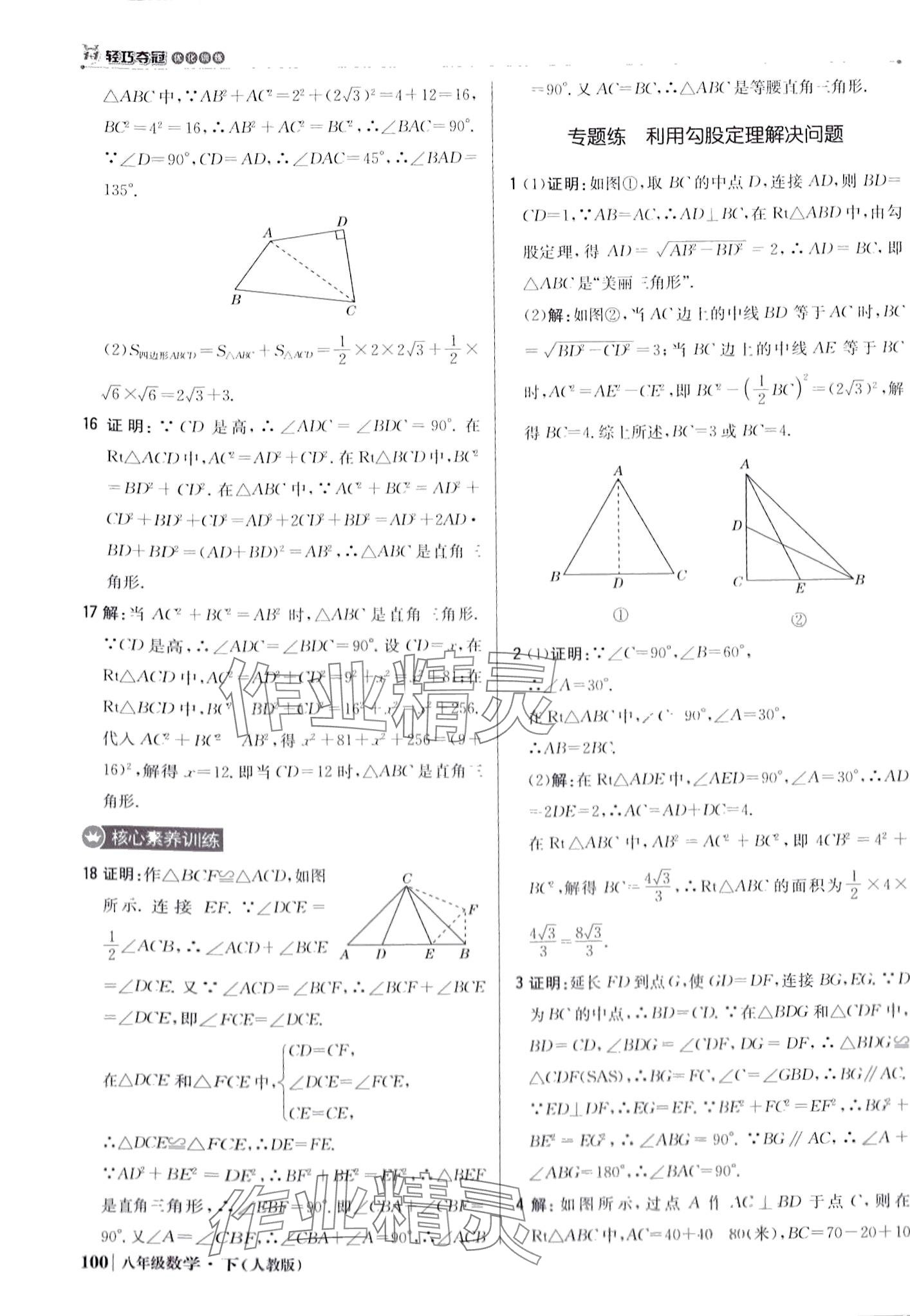 2024年1加1轻巧夺冠优化训练八年级数学下册人教版 第13页