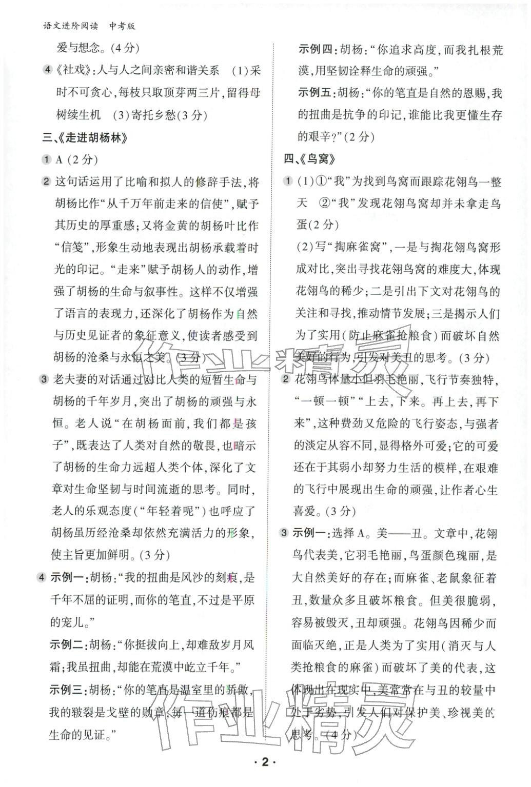 2026年语文进阶阅读 第2页