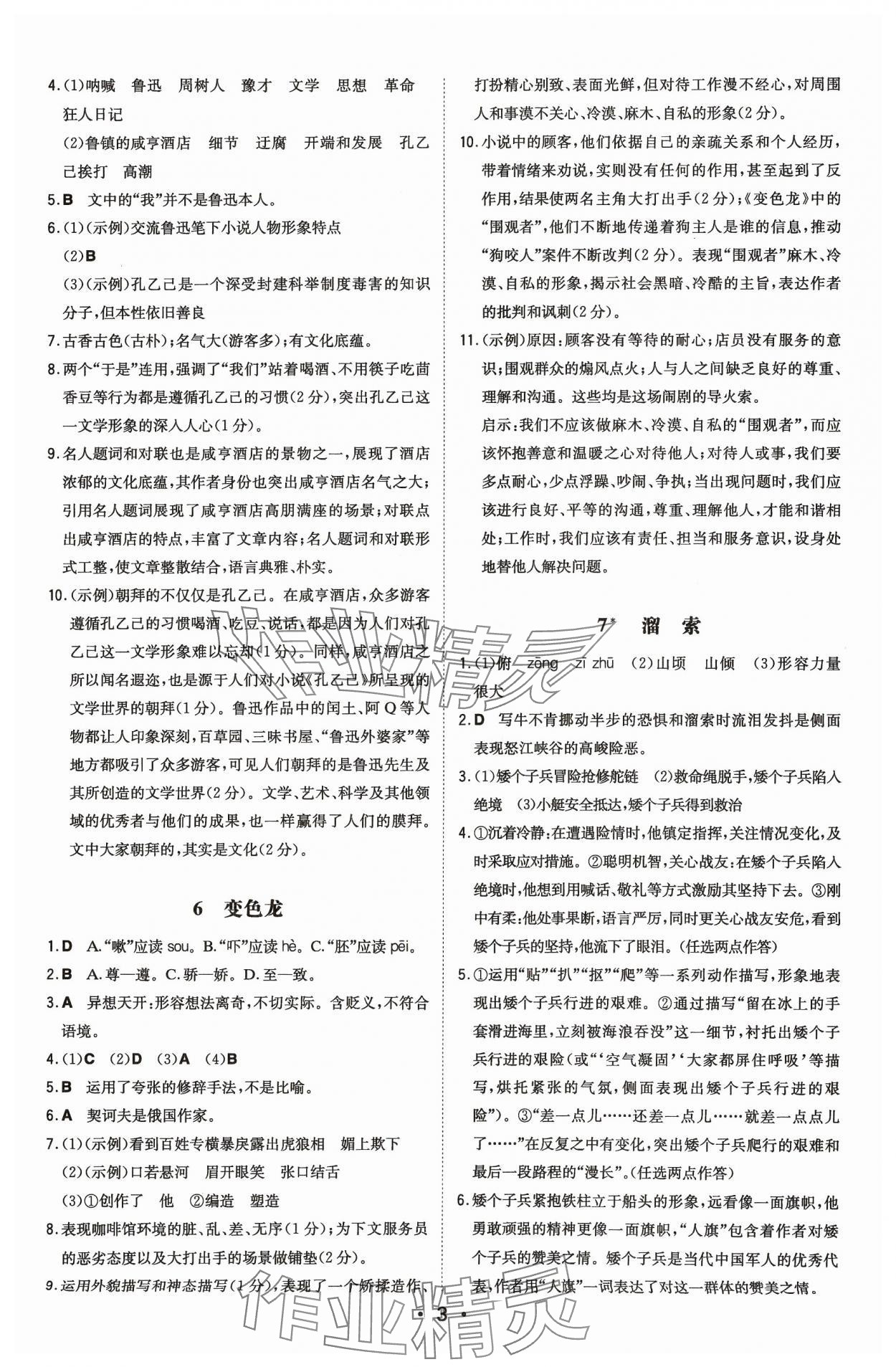 2024年一本同步訓(xùn)練九年級(jí)語(yǔ)文下冊(cè)人教版 第3頁(yè)