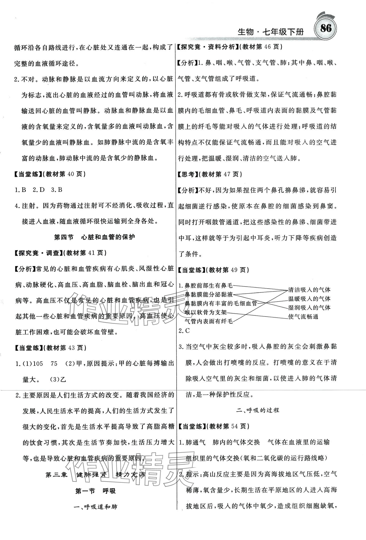 2024年名校课堂内外七年级生物下册冀少版 第3页