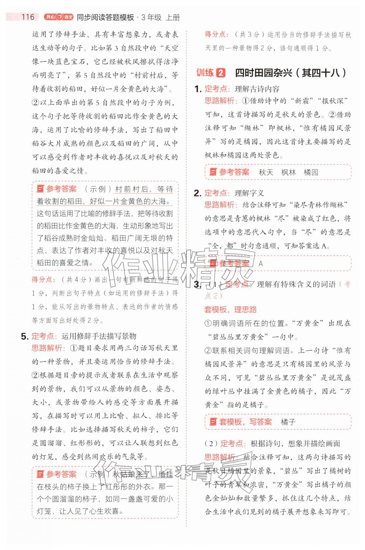 2025年同步阅读答题模板三年级语文上册人教版&nbsp;参考答案第8页