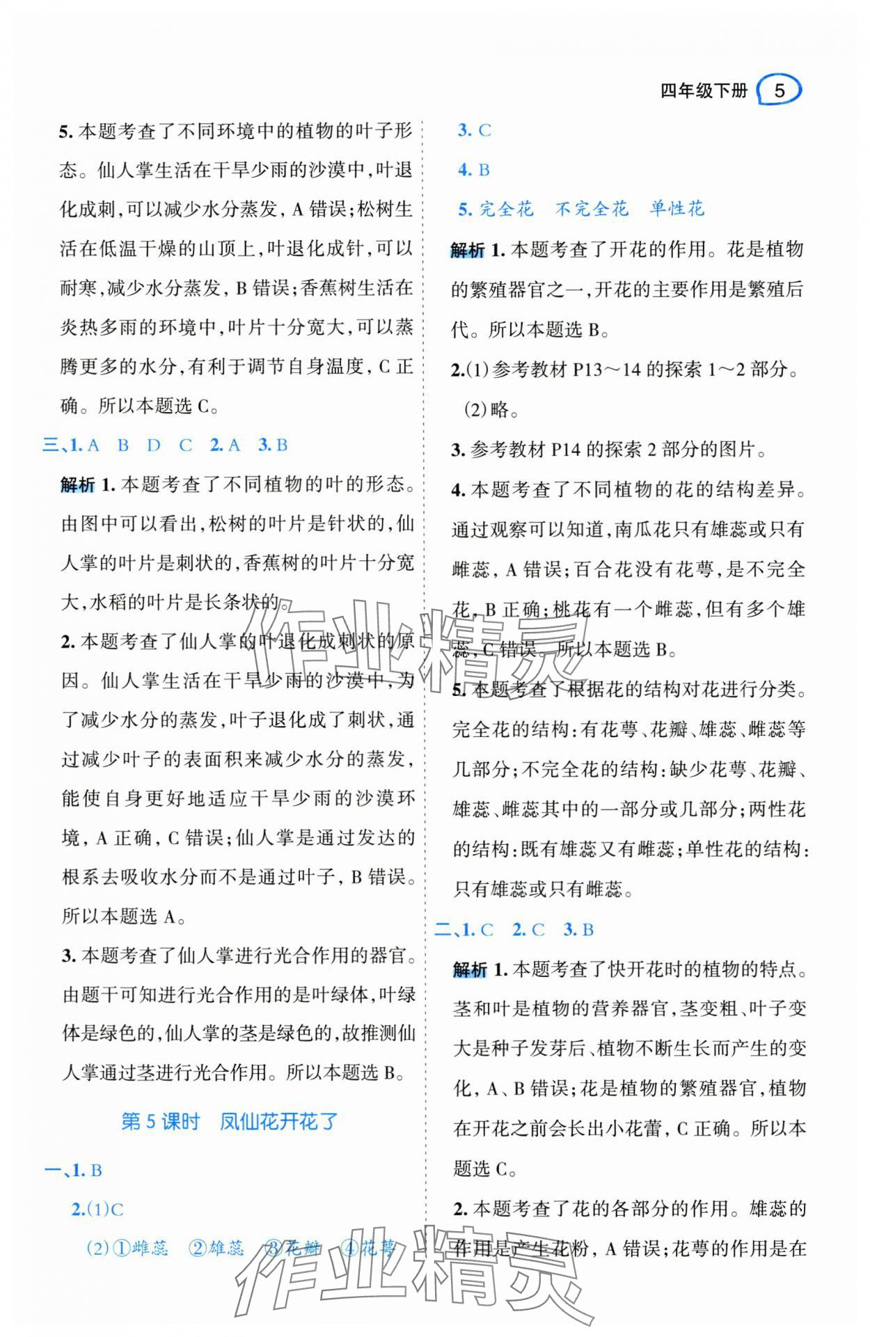 2025年名師面對面先學后練四年級科學下冊教科版 第5頁