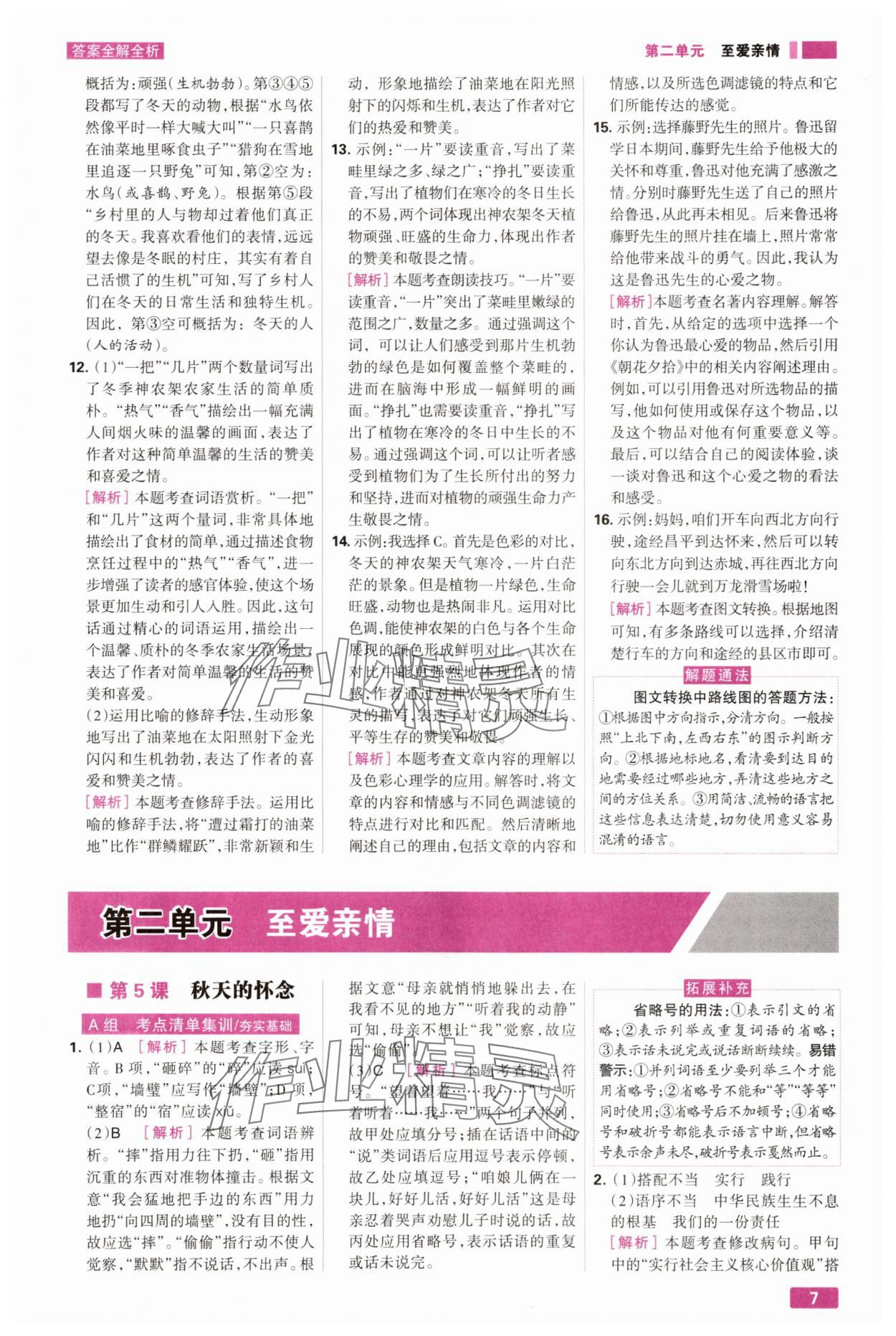 2025年考点集训与满分备考七年级语文上册人教版 第7页