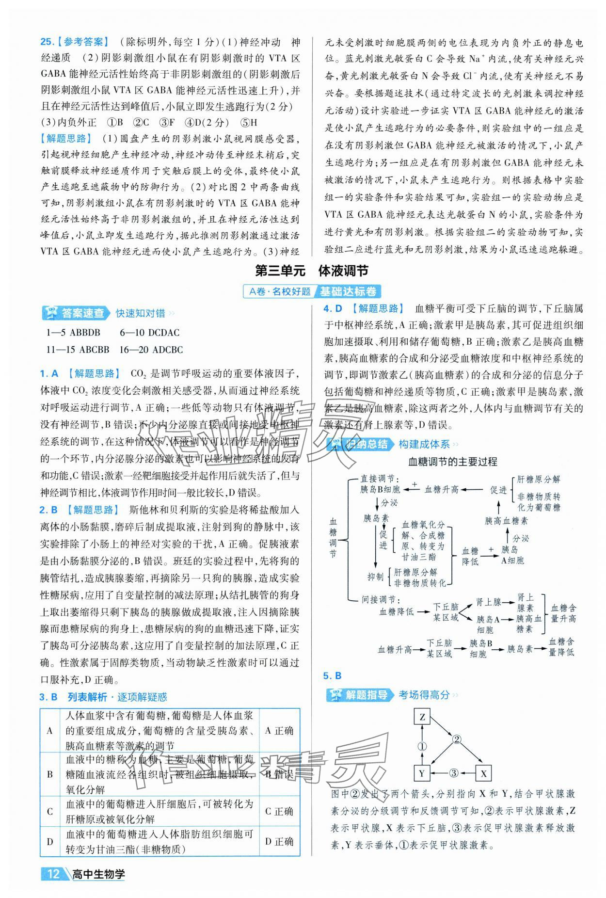 2025年金考卷活頁題選高中生物選擇性必修1人教版 第12頁