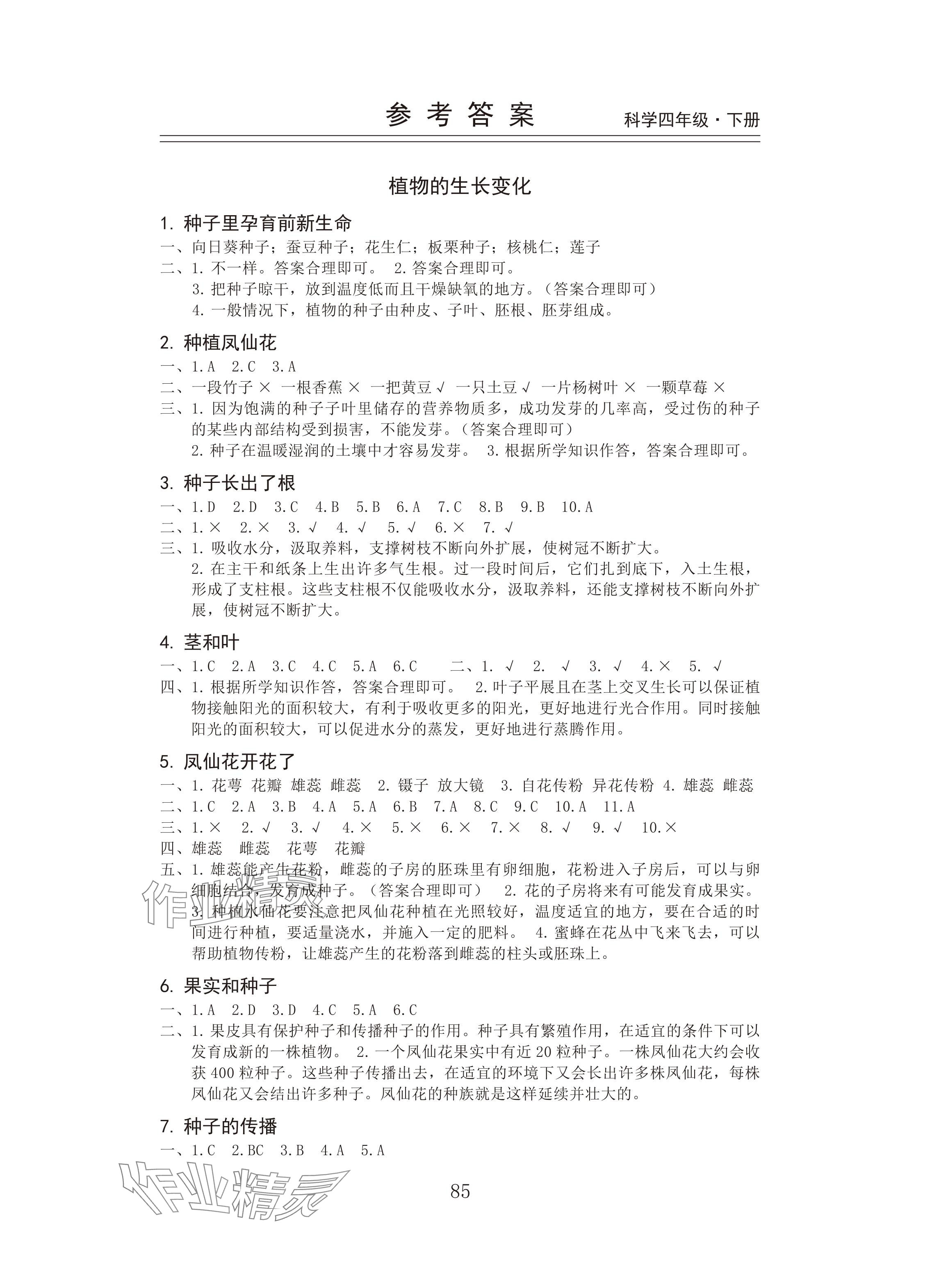 2025年新思維伴你學四年級科學下冊教科版 參考答案第1頁
