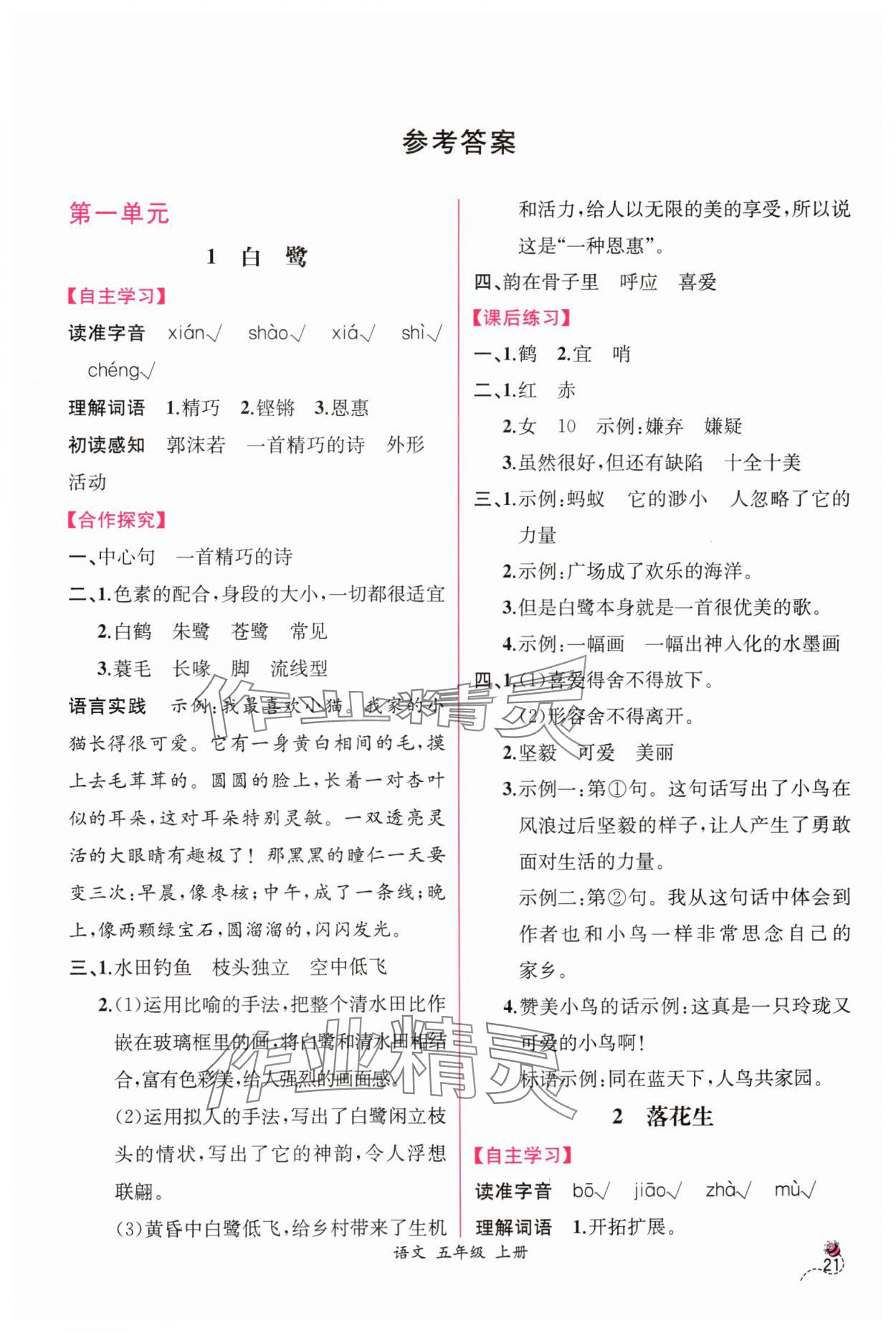 2024年同步导学案课时练五年级语文上册人教版 第1页