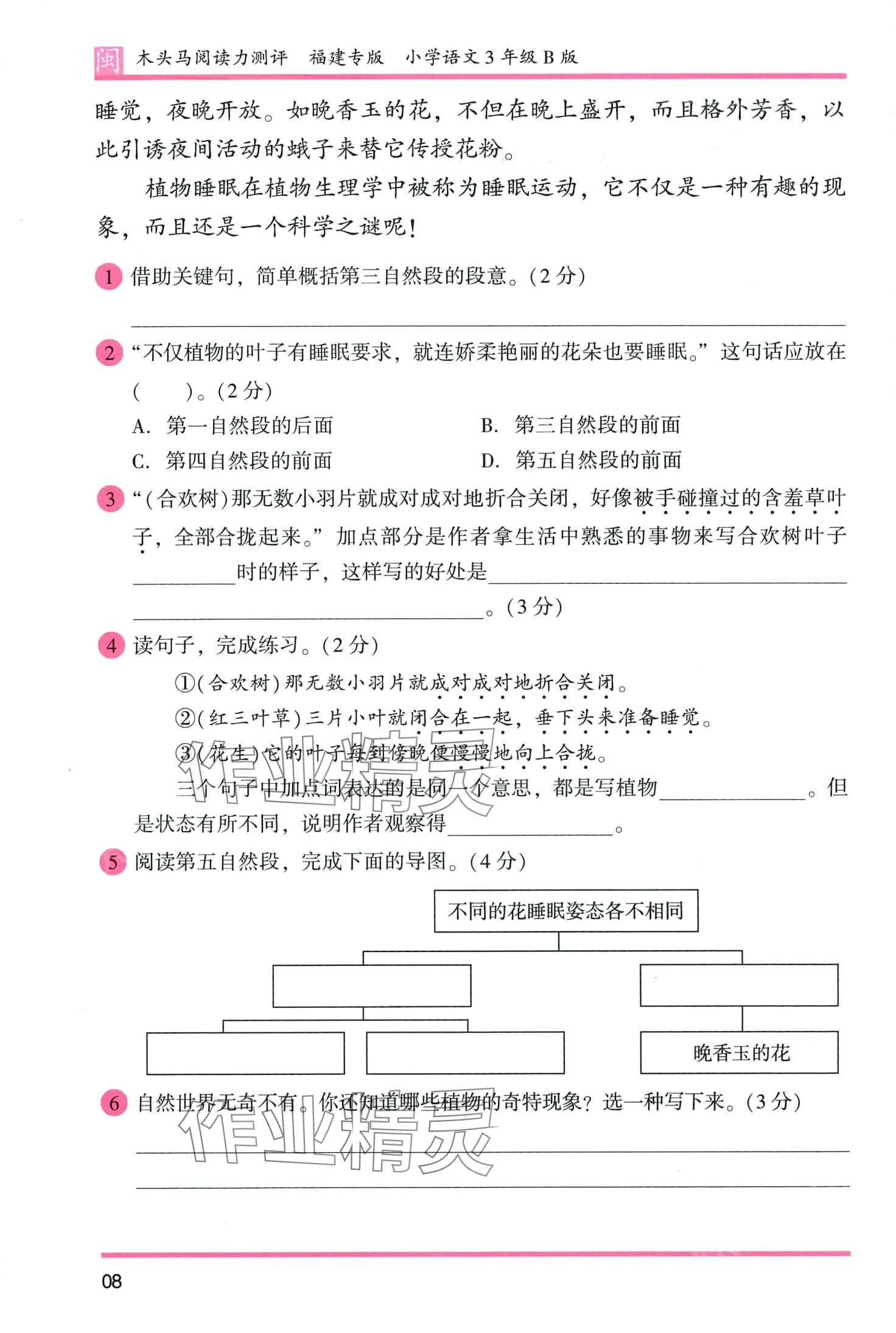 2024年木頭馬閱讀力測評三年級語文人教版發(fā)展篇B版福建專版 第8頁