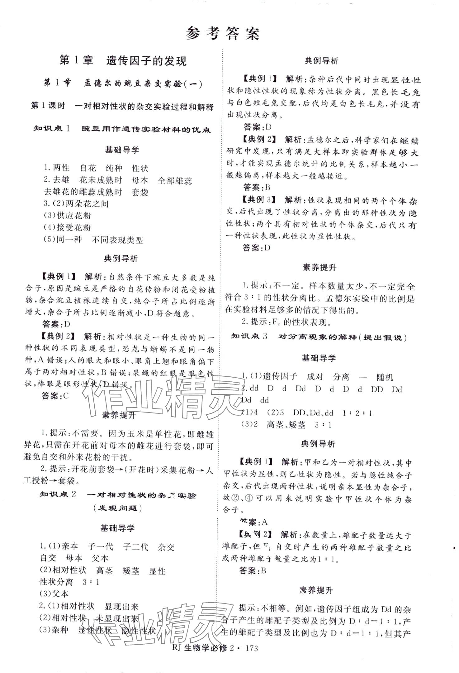 2024年同步導練高中生物必修2人教版 第1頁