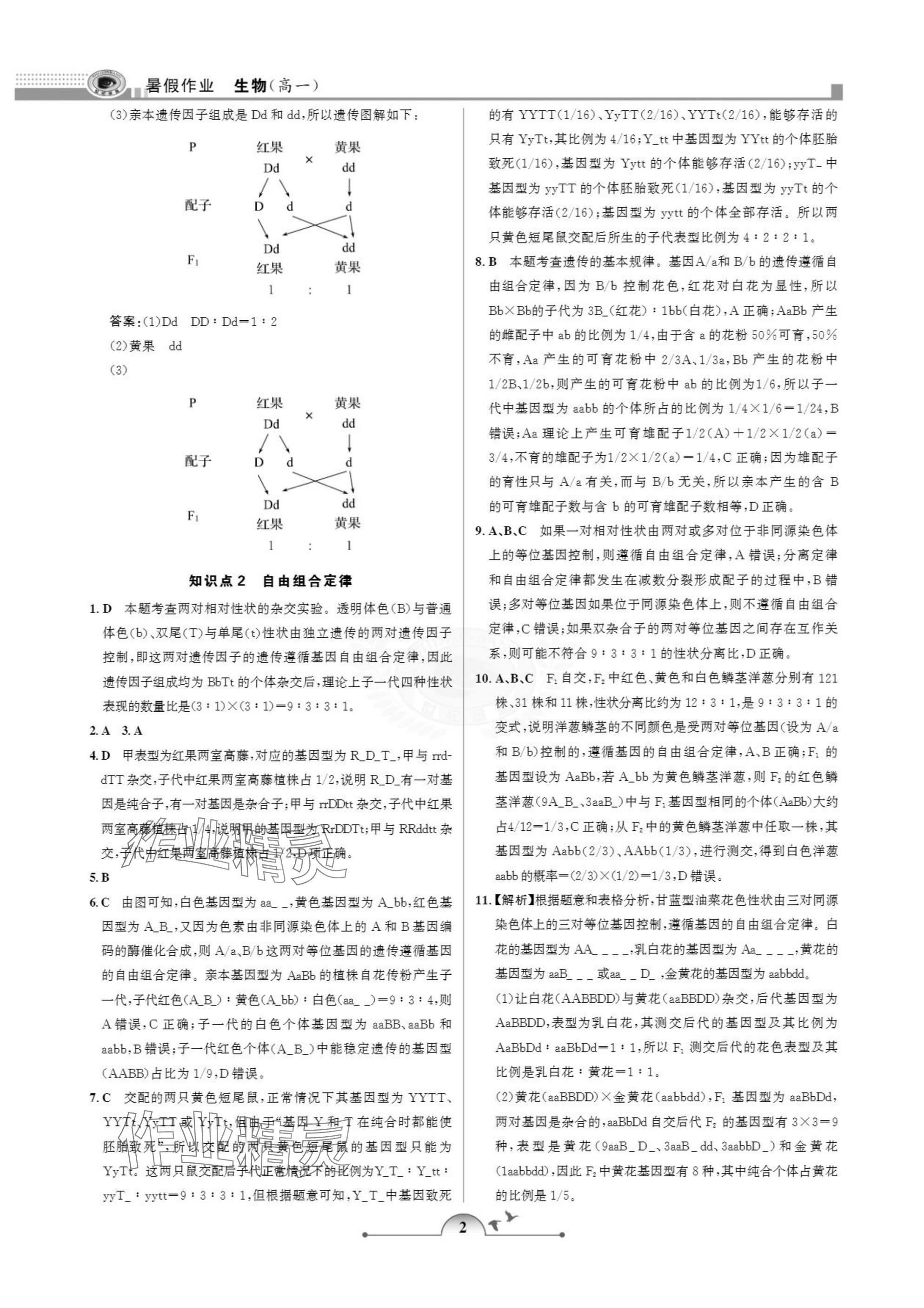 2025年暑假作业甘肃少年儿童出版社高一生物人教版 参考答案第2页