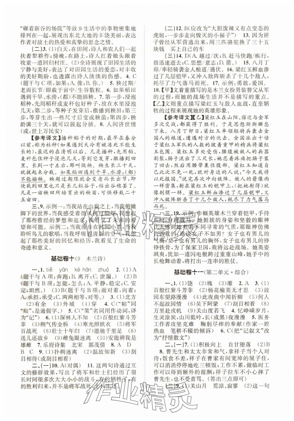 2025年初中语文基础知识加古诗文七年级下册人教版 第5页