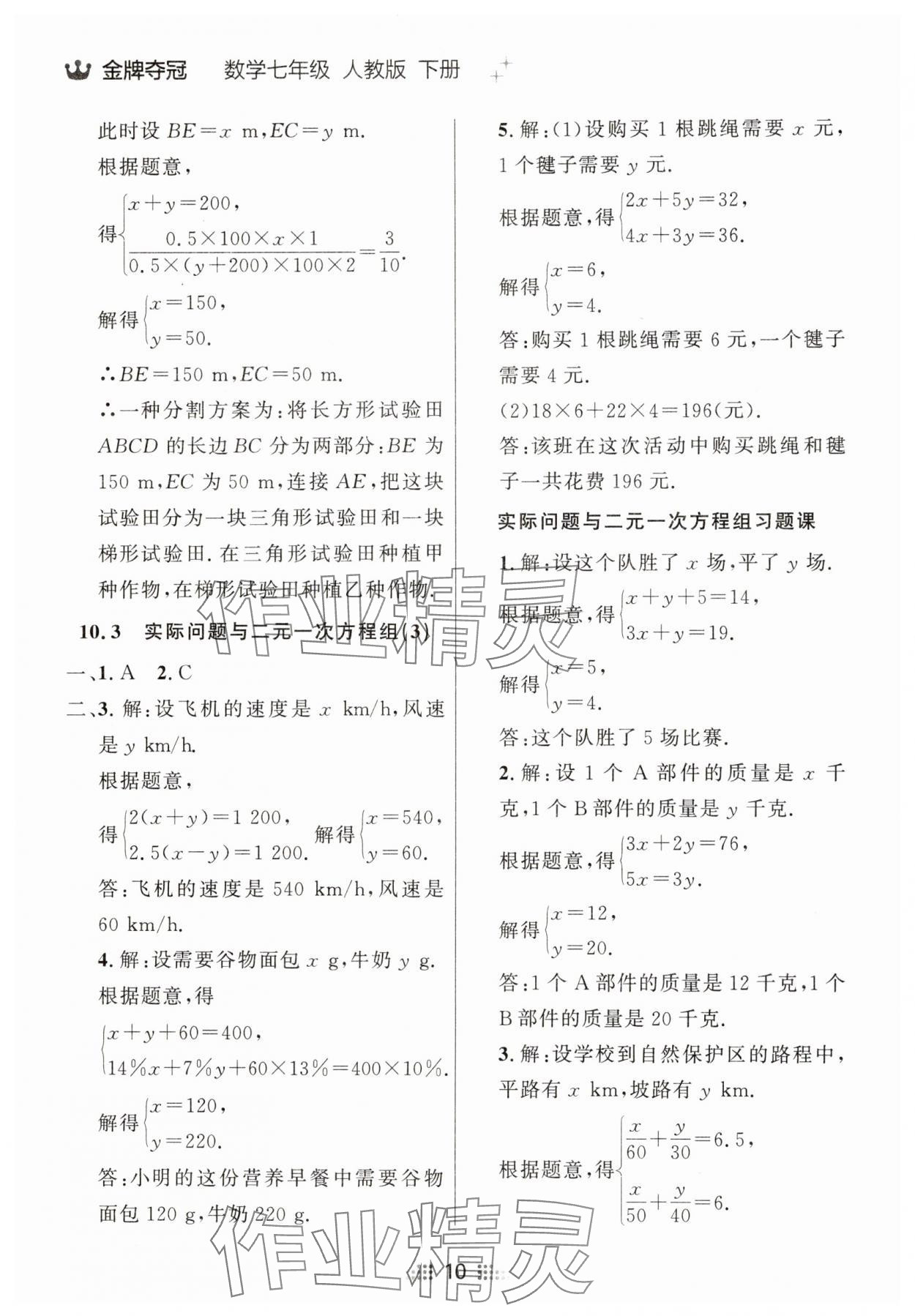 2025年點(diǎn)石成金金牌奪冠七年級數(shù)學(xué)下冊人教版遼寧專版 參考答案第10頁