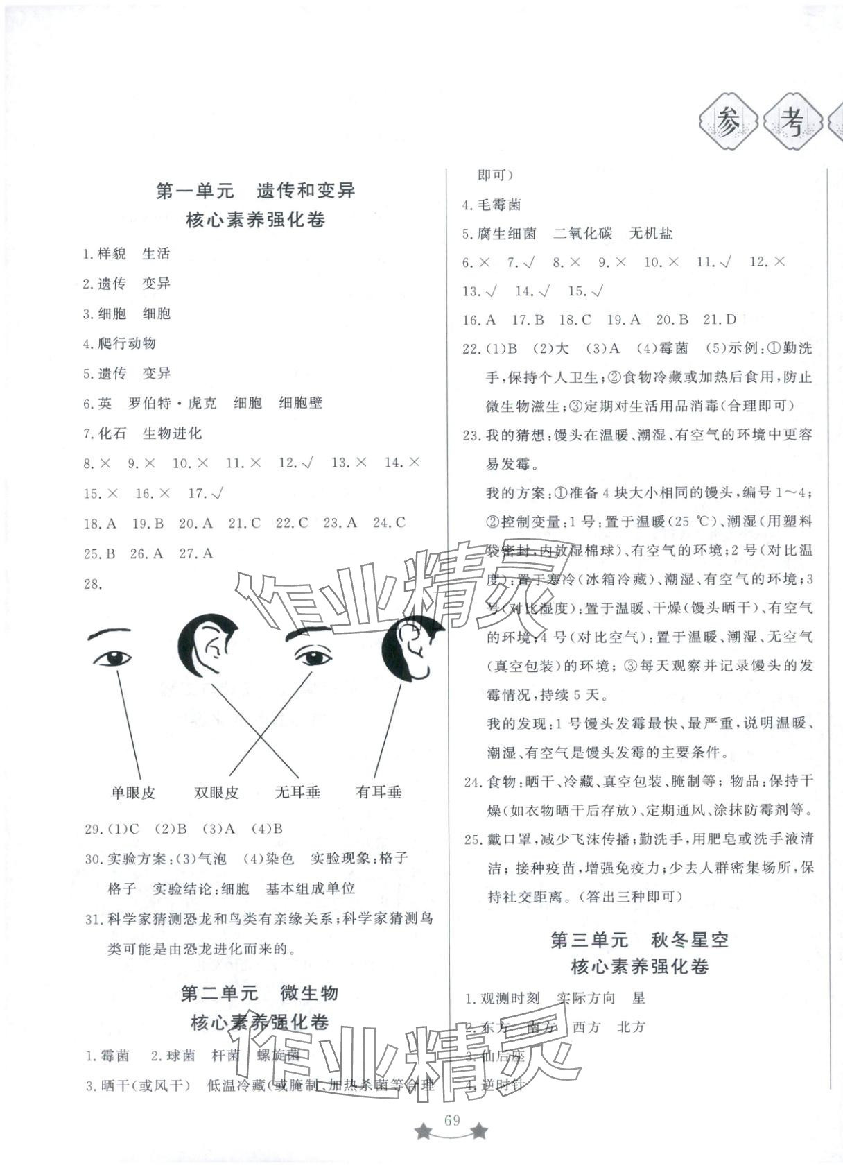 2025年单元测试卷山东文艺出版社六年级科学上册青岛版 第1页