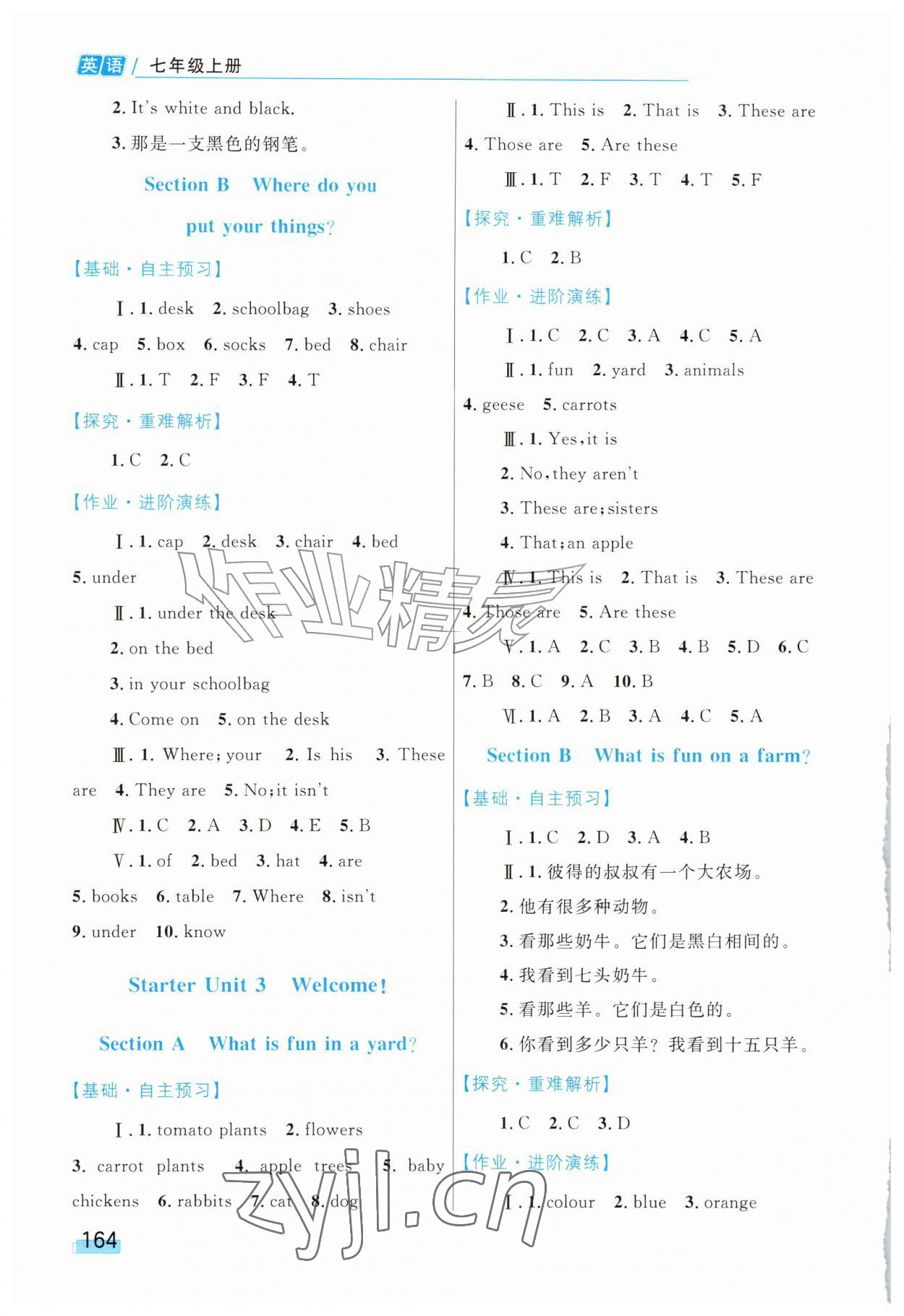 2026年同步学习目标与检测七年级英语上册人教版&nbsp;第2页