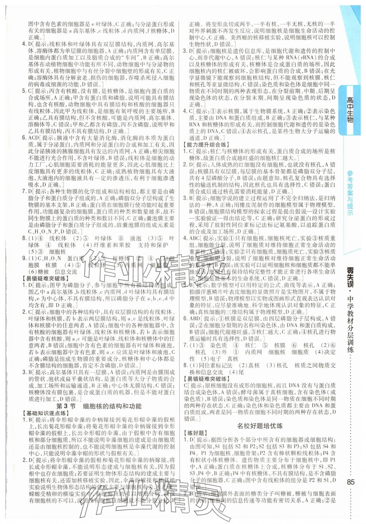 2025年零失誤分層訓練高中生物必修1人教版 參考答案第10頁