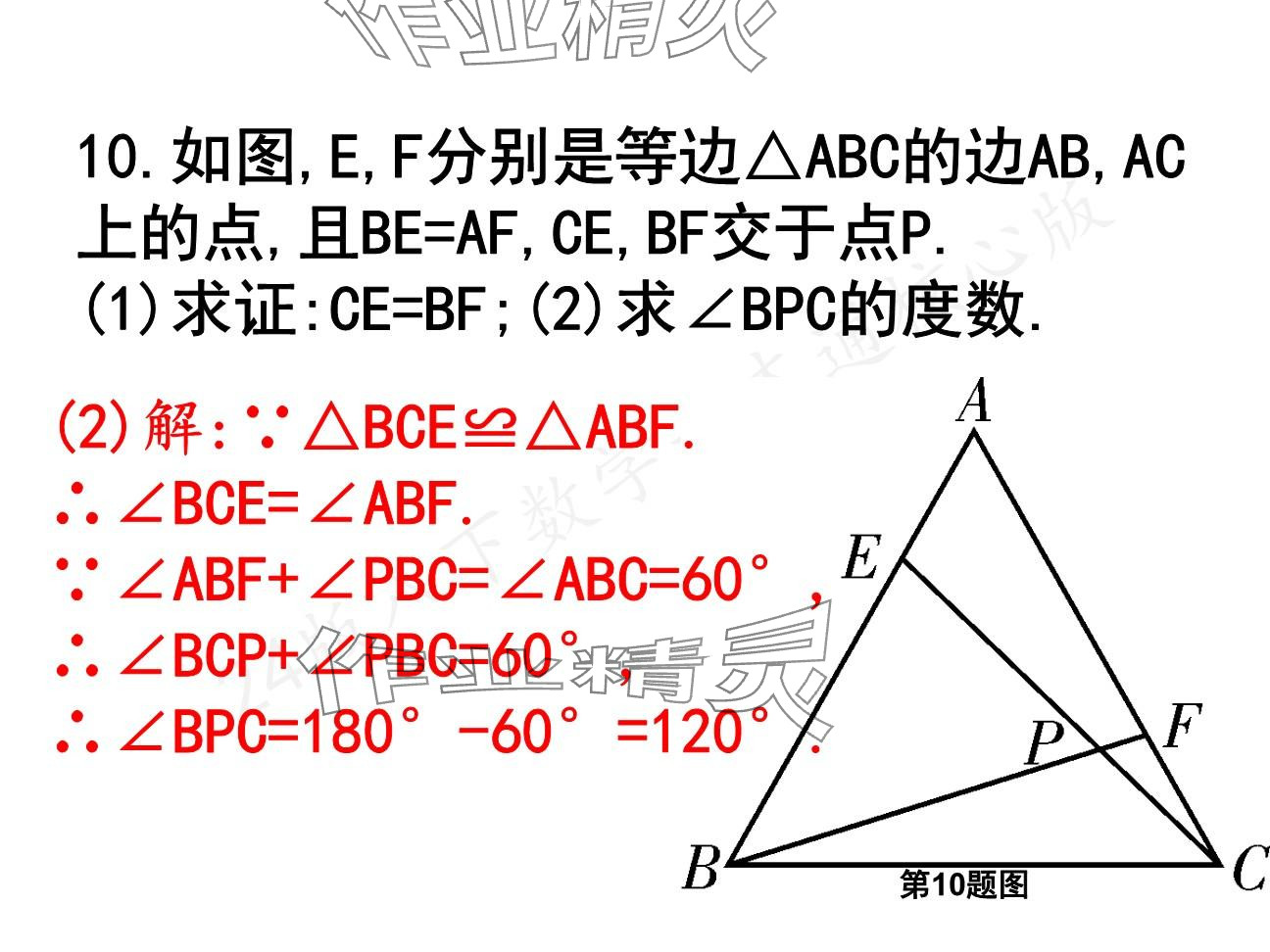 2025年一本通武漢出版社八年級數(shù)學(xué)下冊北師大版核心板 參考答案第14頁