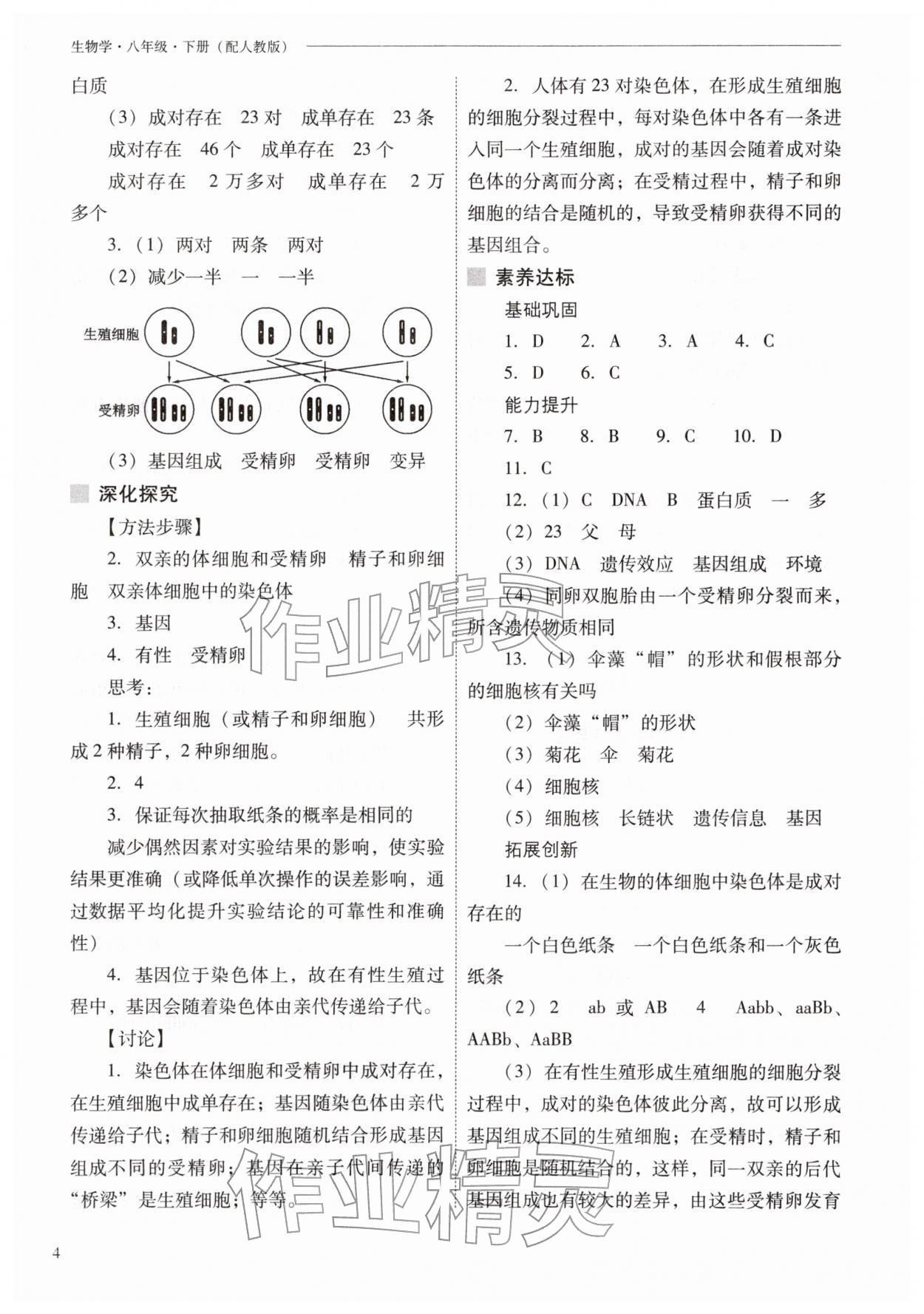 2026年新课程问题解决导学方案八年级生物下册人教版&nbsp;参考答案第4页