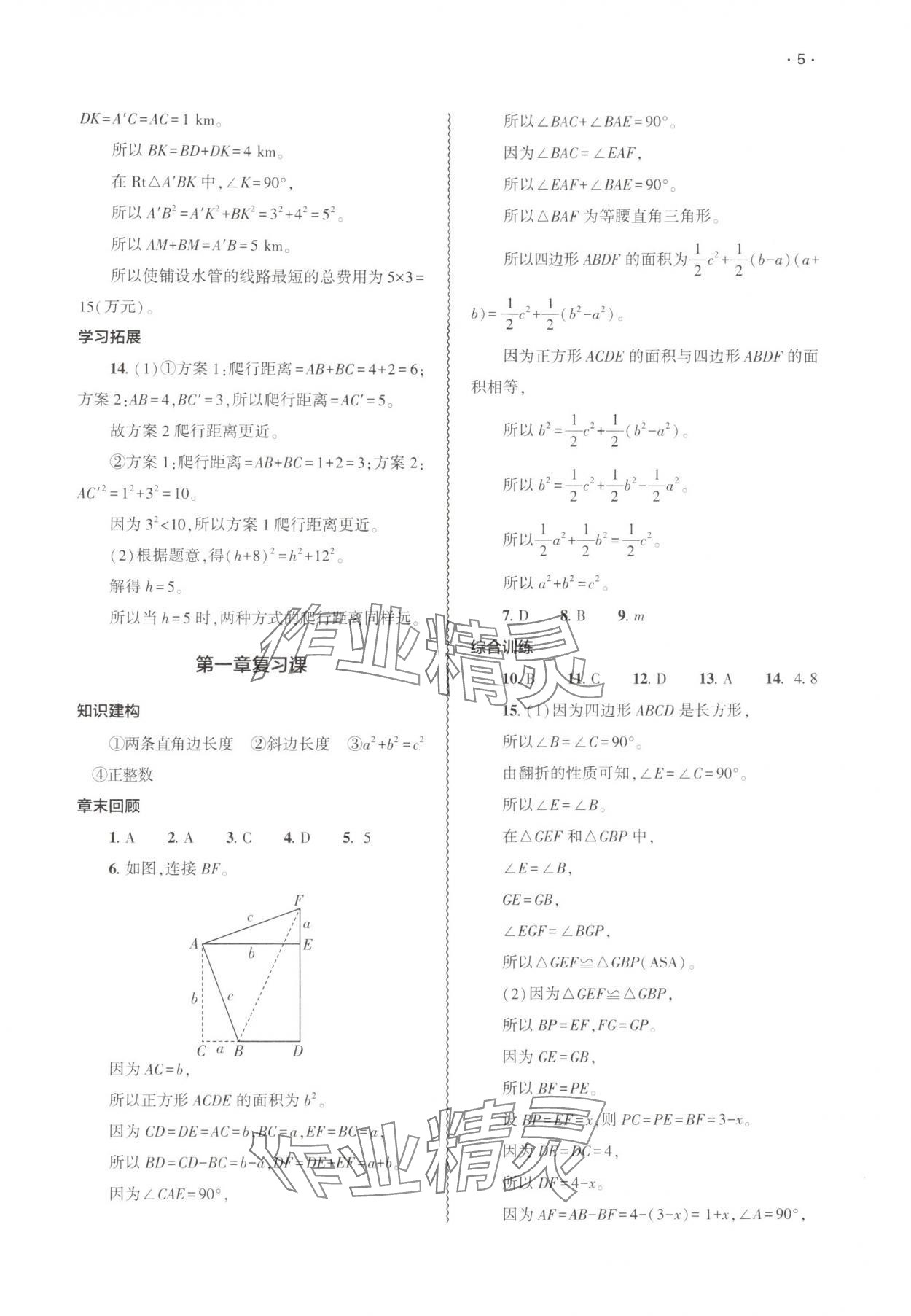 2025年基礎訓練大象出版社八年級數學上冊北師大版 第5頁