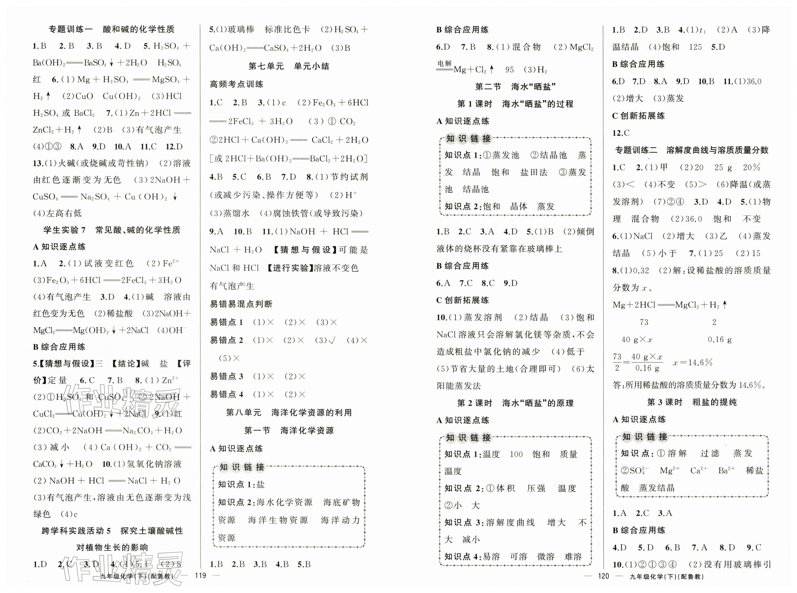 2026年黄冈金牌之路练闯考九年级化学下册鲁教版&nbsp;第2页