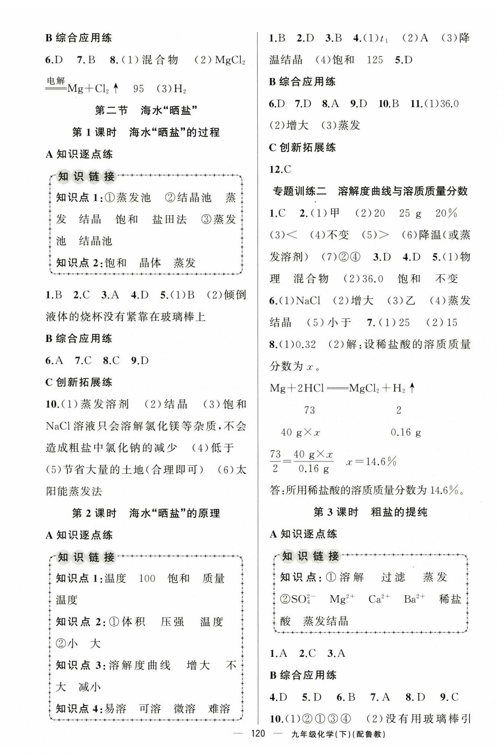 2026年黄冈金牌之路练闯考九年级化学下册鲁教版&nbsp;第4页
