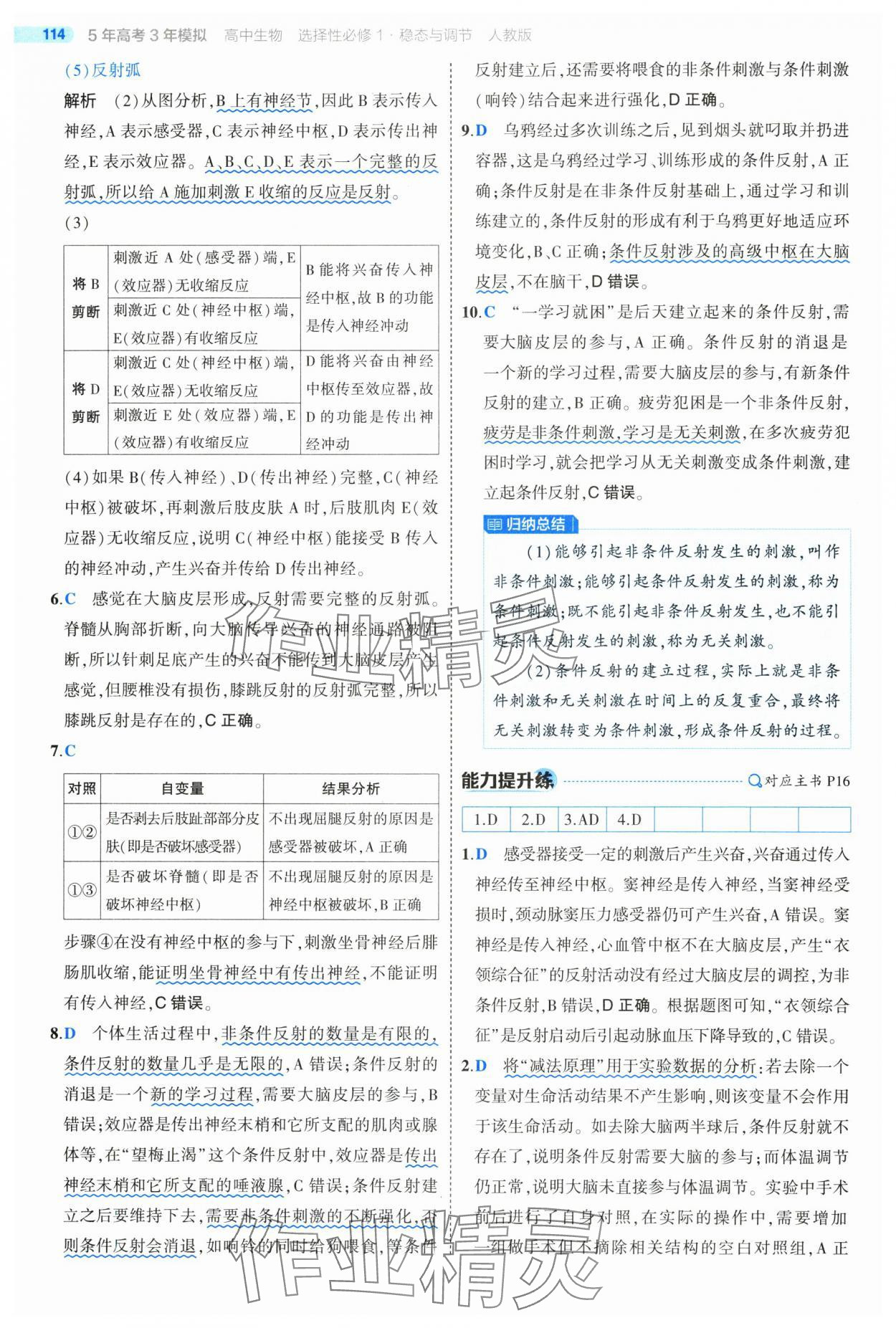 2025年5年高考3年模擬高中生物選擇性必修1人教版 第12頁