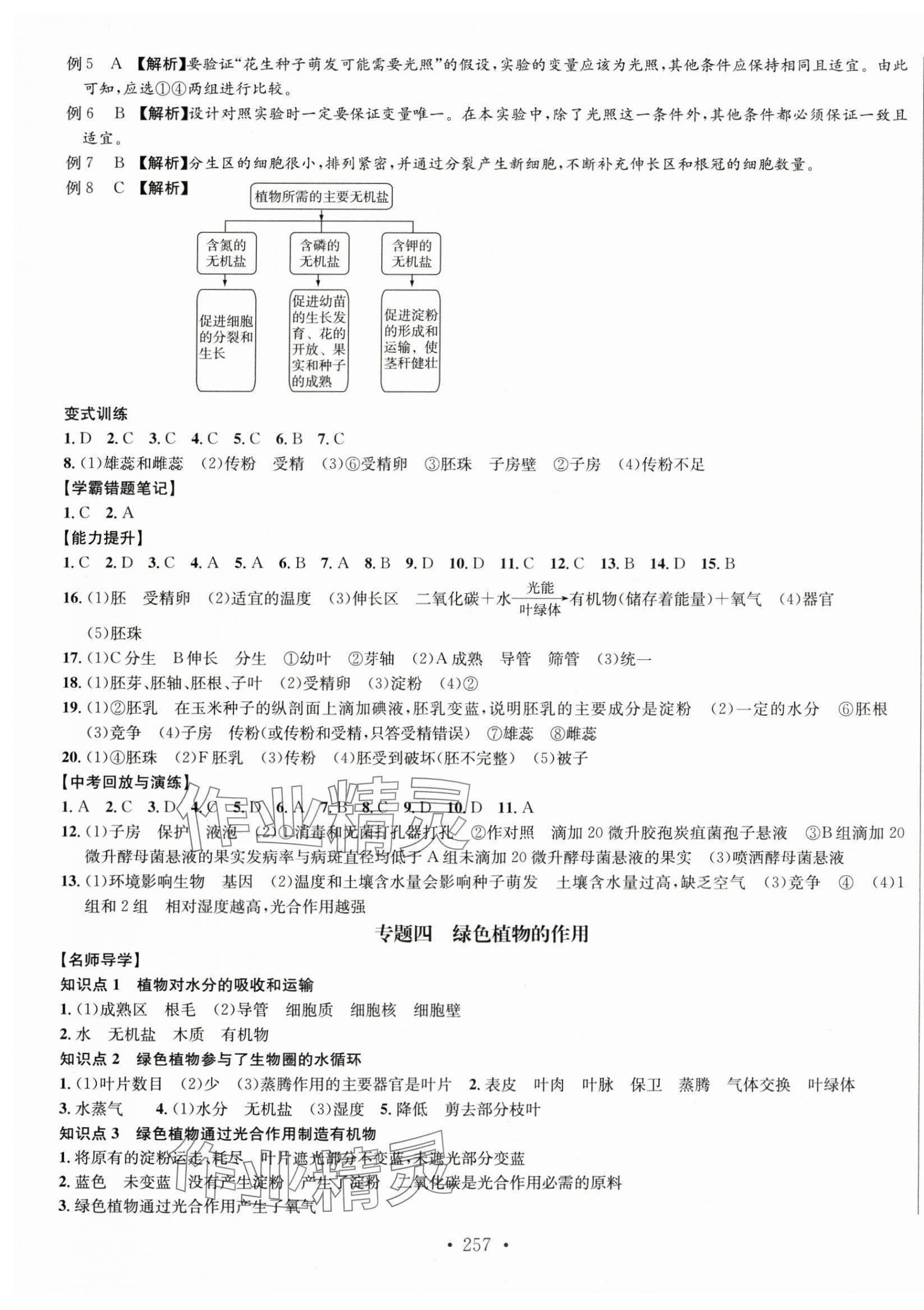 2025年中考檔案生物B版青島專版 第5頁