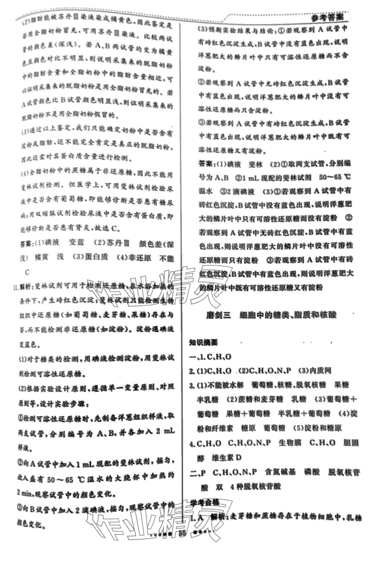 2024年寒假生活北京師范大學出版社高一生物 第4頁