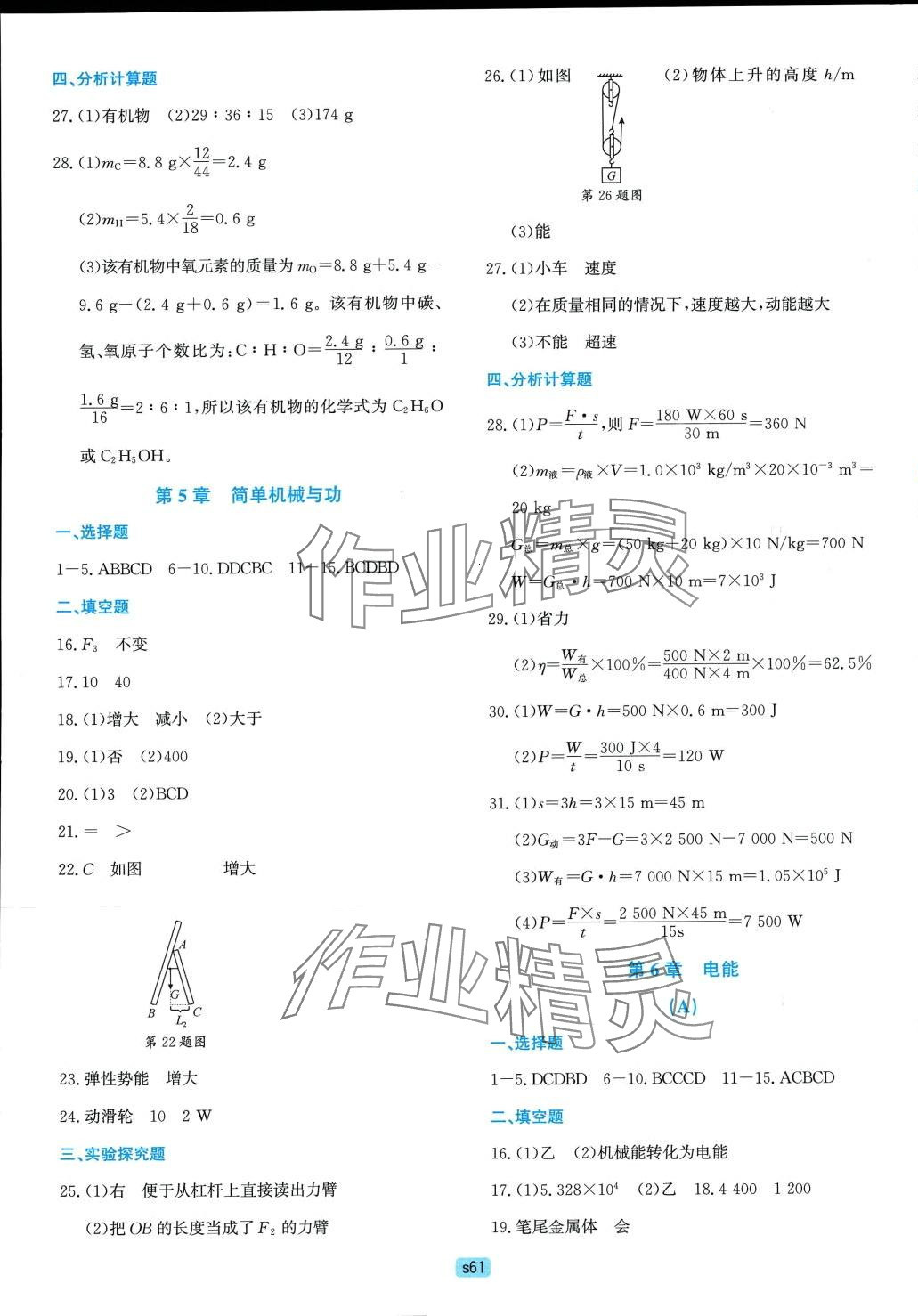 2024年初中全程階段測評卷科學華師大版 第5頁