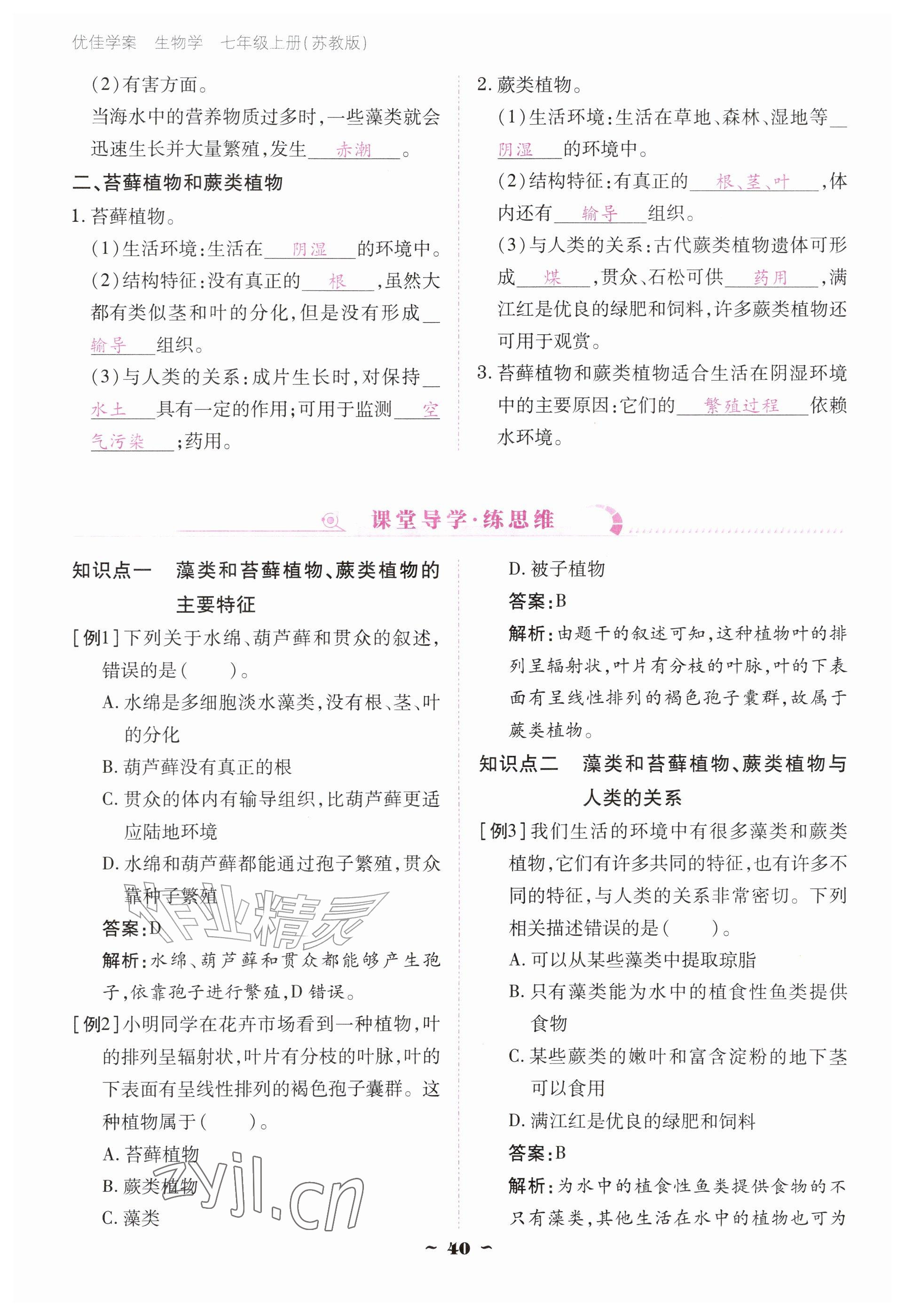 2026年云南省标准教辅优佳学案七年级历史上册人教版&nbsp;参考答案第40页
