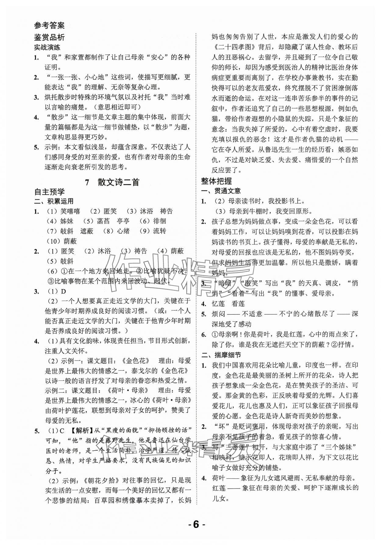 2023年全程突破七年級(jí)語(yǔ)文上冊(cè)人教版 第6頁(yè)