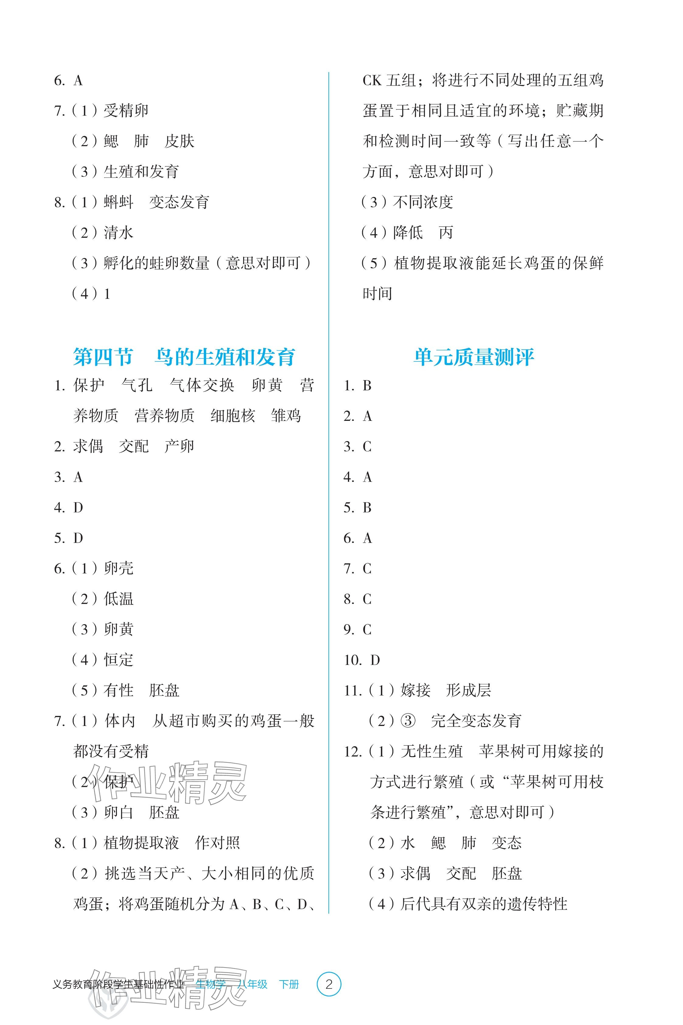 2025年學(xué)生基礎(chǔ)性作業(yè)八年級(jí)生物下冊(cè)人教版 參考答案第2頁(yè)