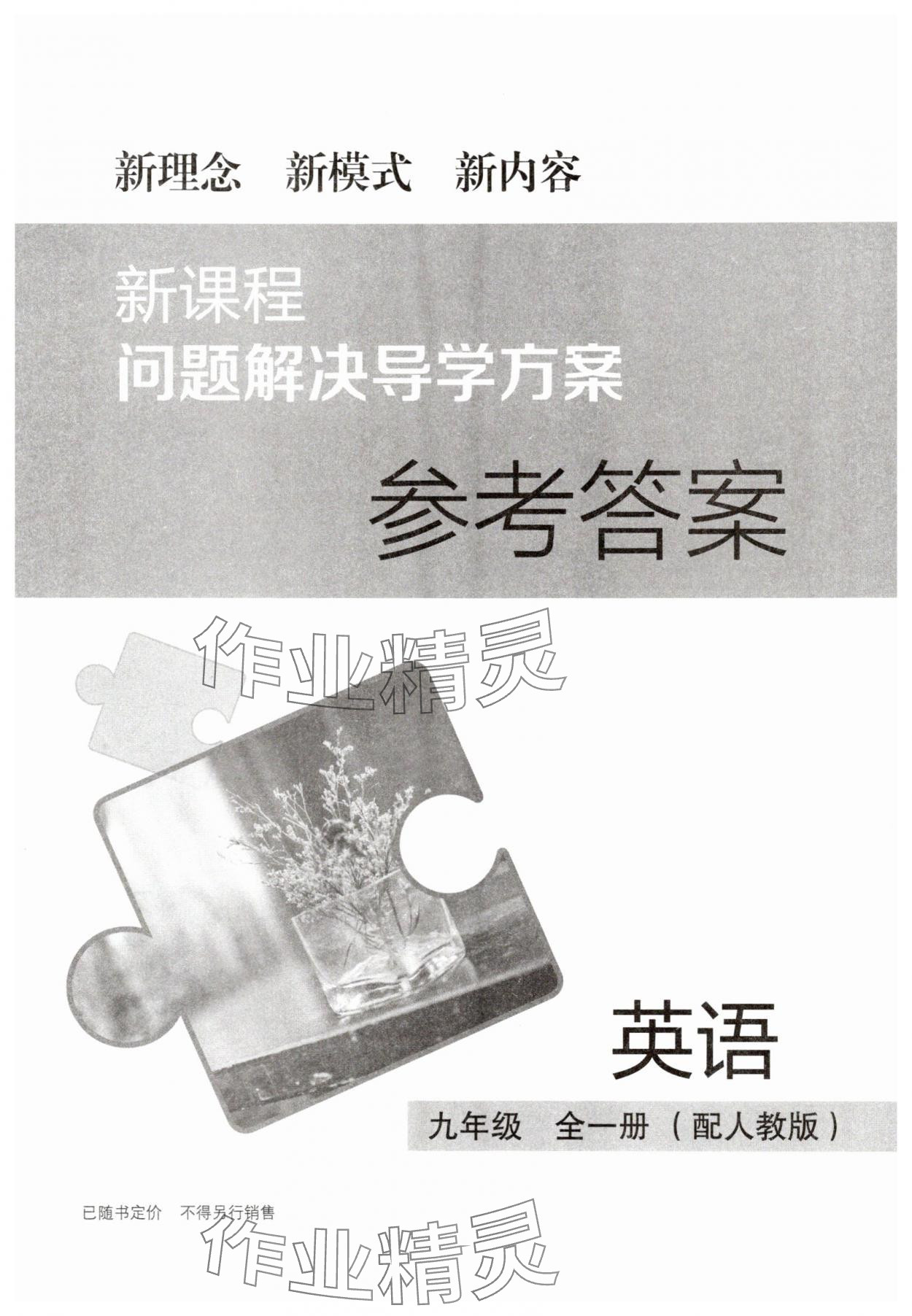 2025年新课程问题解决导学方案九年级英语全一册人教版 第1页