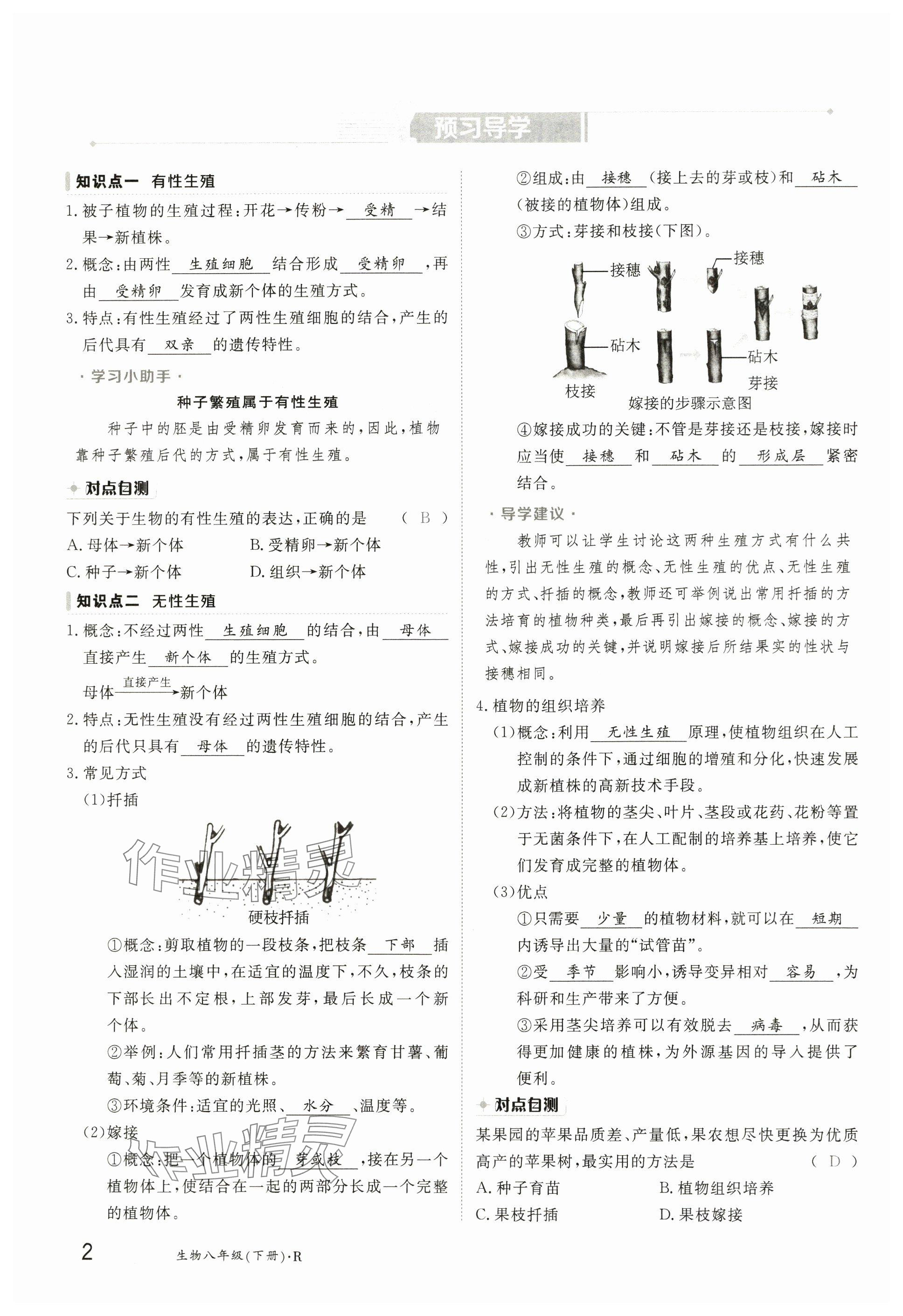 2025年金太陽導學案八年級生物下冊人教版 參考答案第2頁