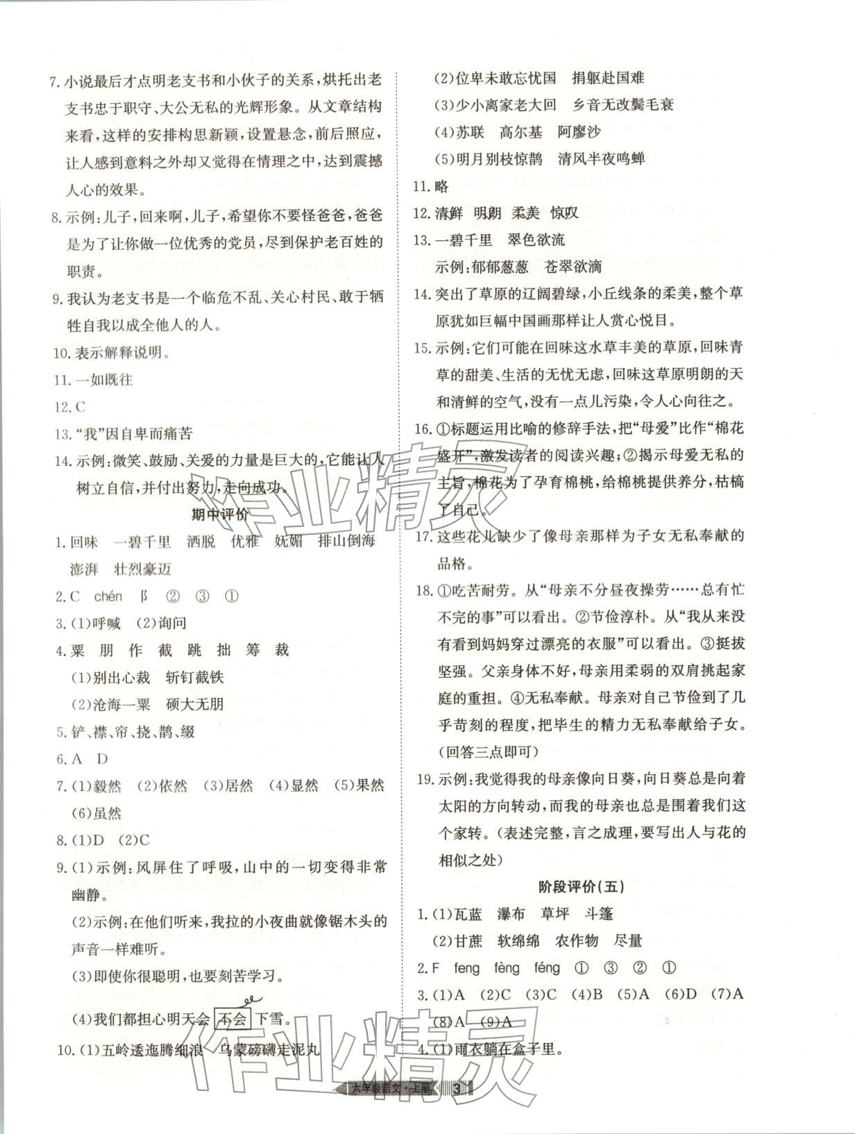 2025年全优标准卷学习搭档六年级语文上册人教版 第3页