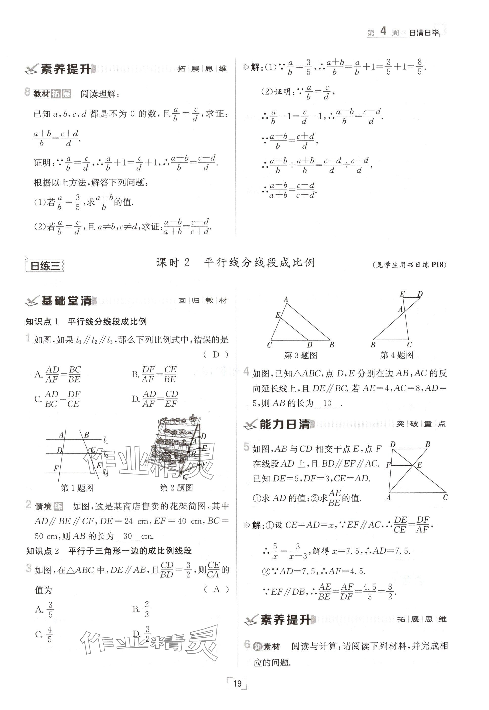 2024年日清周練九年級(jí)數(shù)學(xué)全一冊(cè)華師大版 參考答案第37頁(yè)