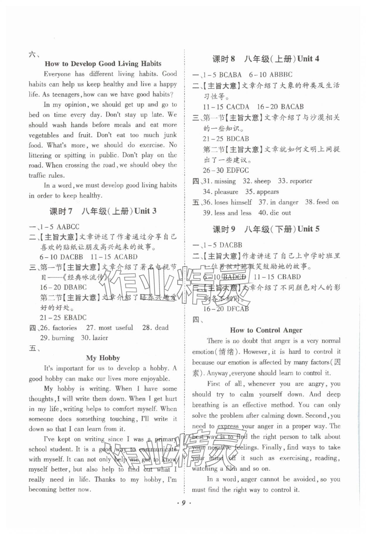 2024年本土攻略精準(zhǔn)復(fù)習(xí)方案英語云南專版 參考答案第9頁