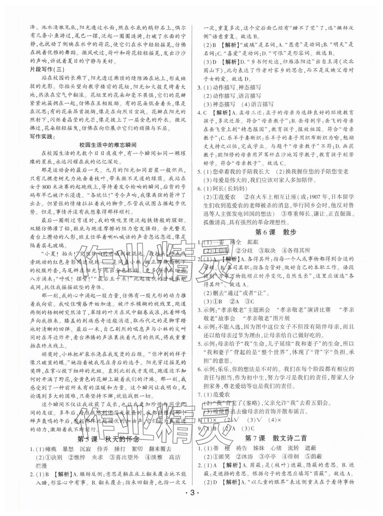 2025年基础精练七年级语文上册人教版深圳专版 第3页