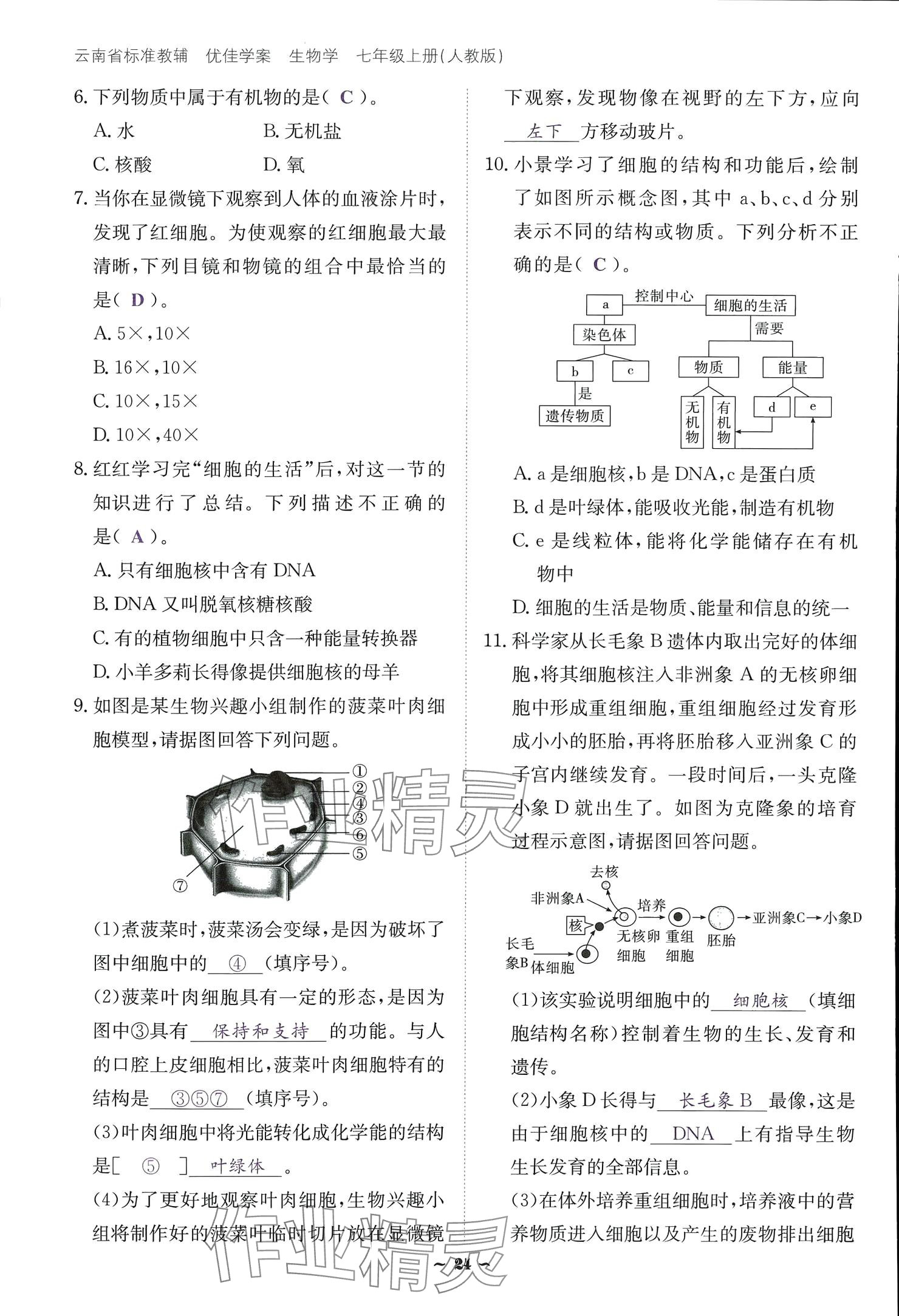 2024云南省標(biāo)準(zhǔn)教輔優(yōu)佳學(xué)案七年級(jí)生物上冊(cè) 參考答案第24頁(yè)