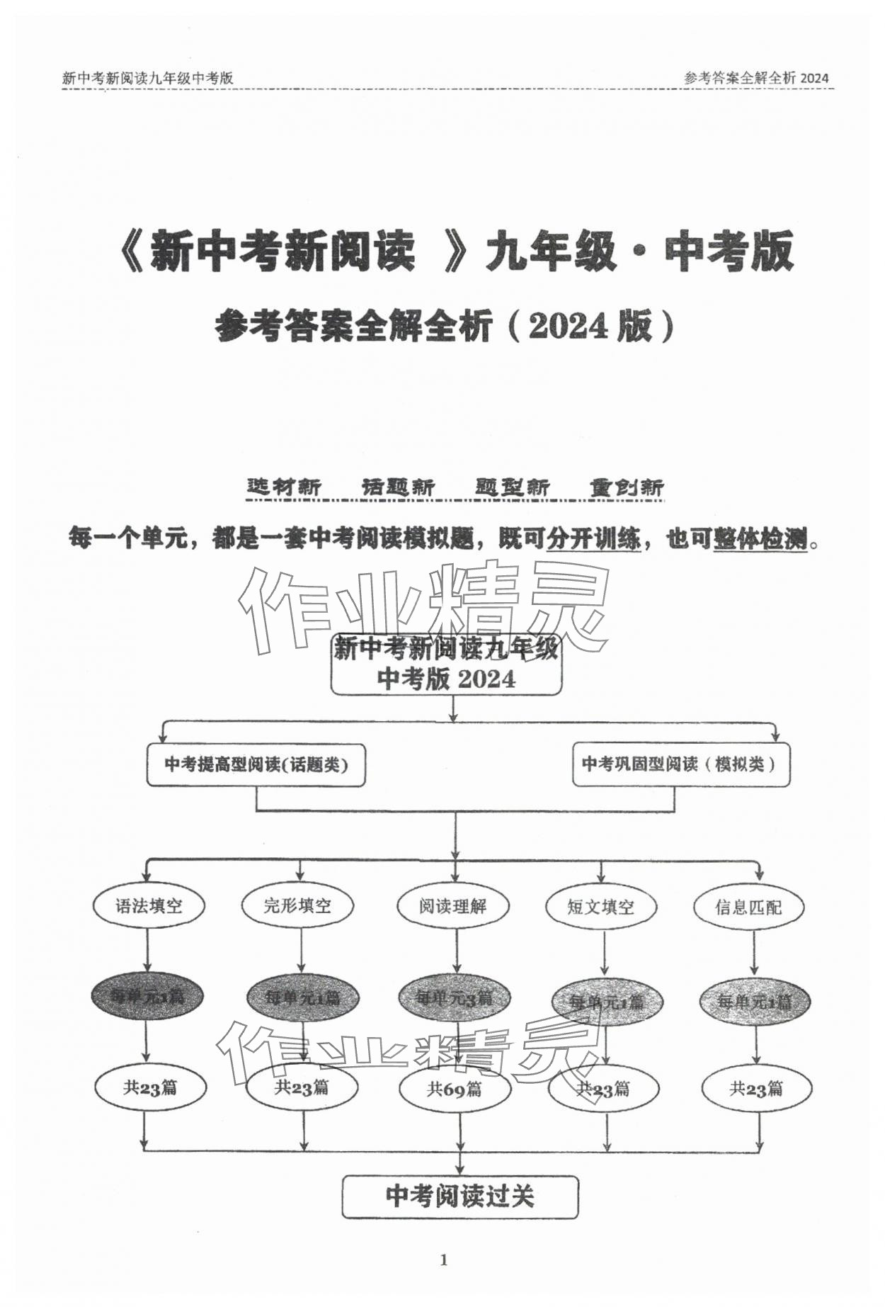 2024年新中考新阅读深圳专版 第1页
