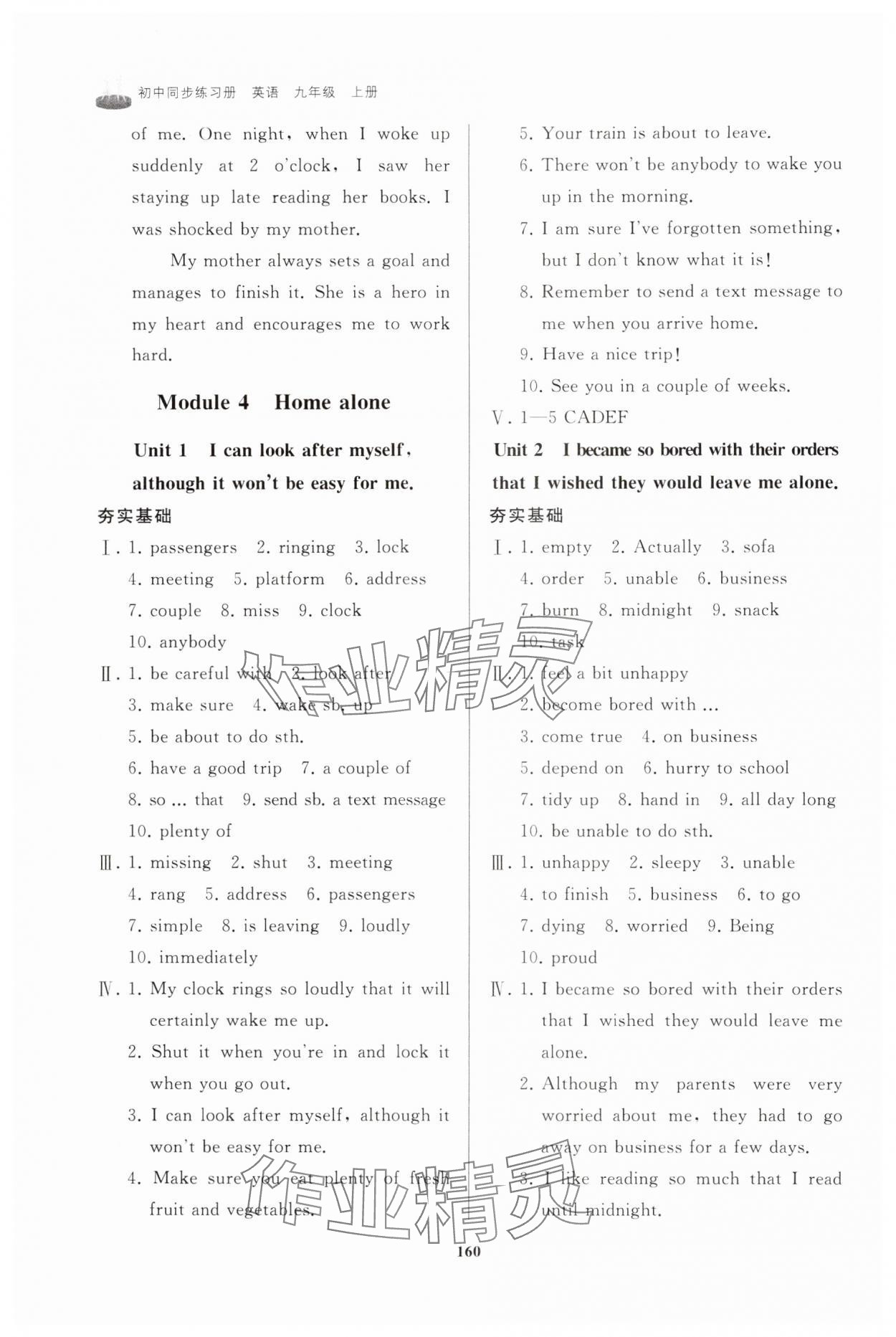 2024年初中同步練習(xí)冊(cè)九年級(jí)英語(yǔ)上冊(cè)外研版山東友誼出版社 第8頁(yè)