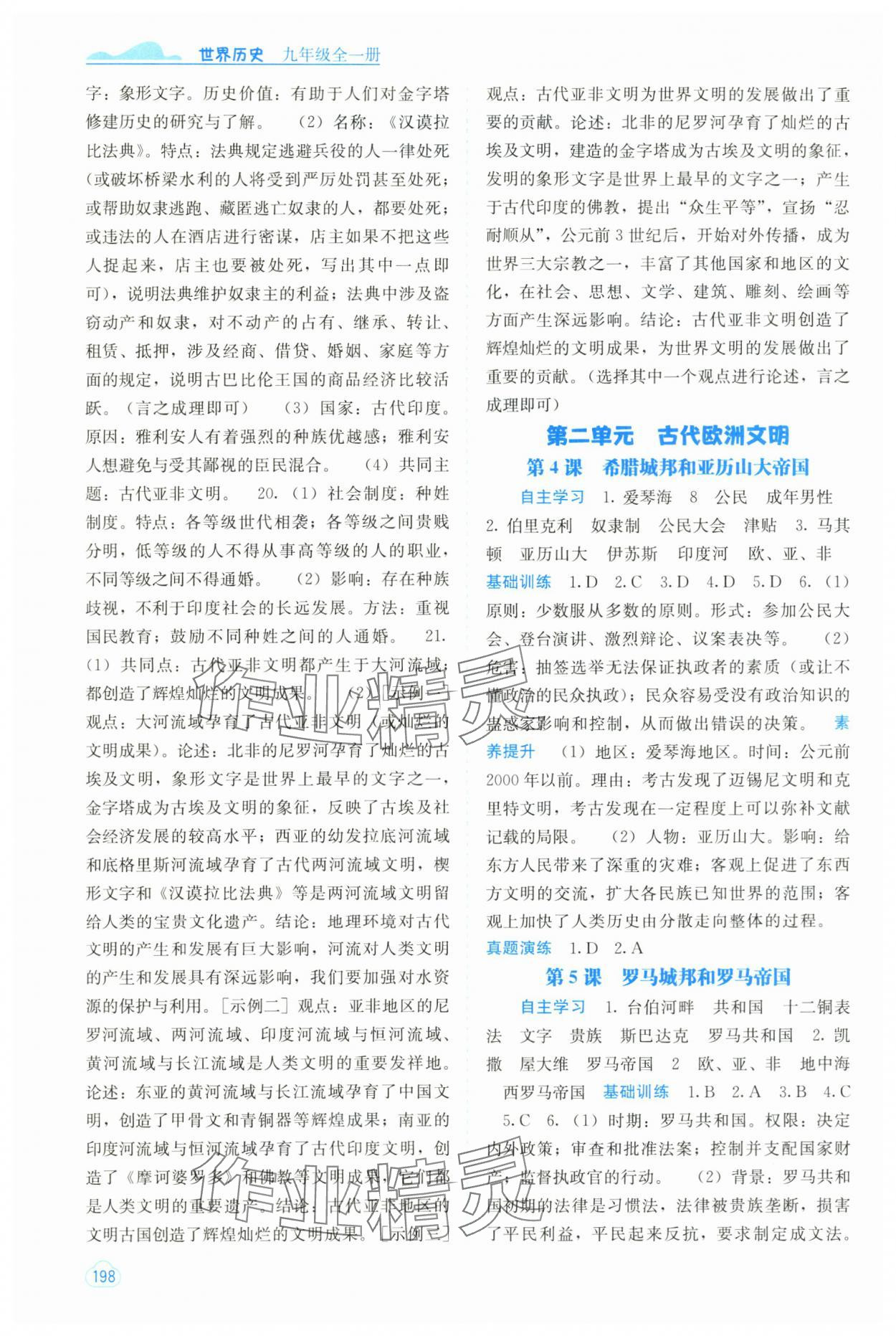 2025年自主学习能力测评九年级历史全一册人教版 第2页