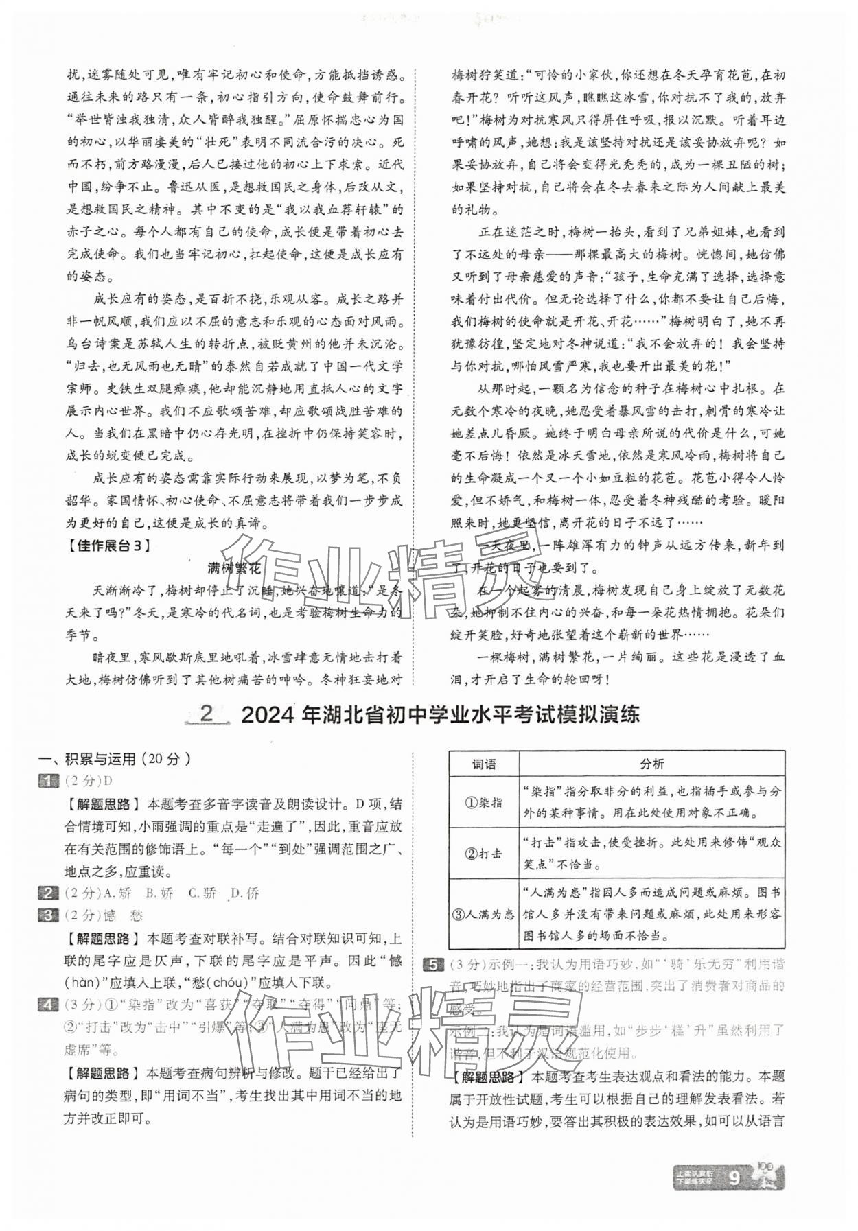 2025年金考卷45套匯編語(yǔ)文湖北專(zhuān)版 參考答案第9頁(yè)