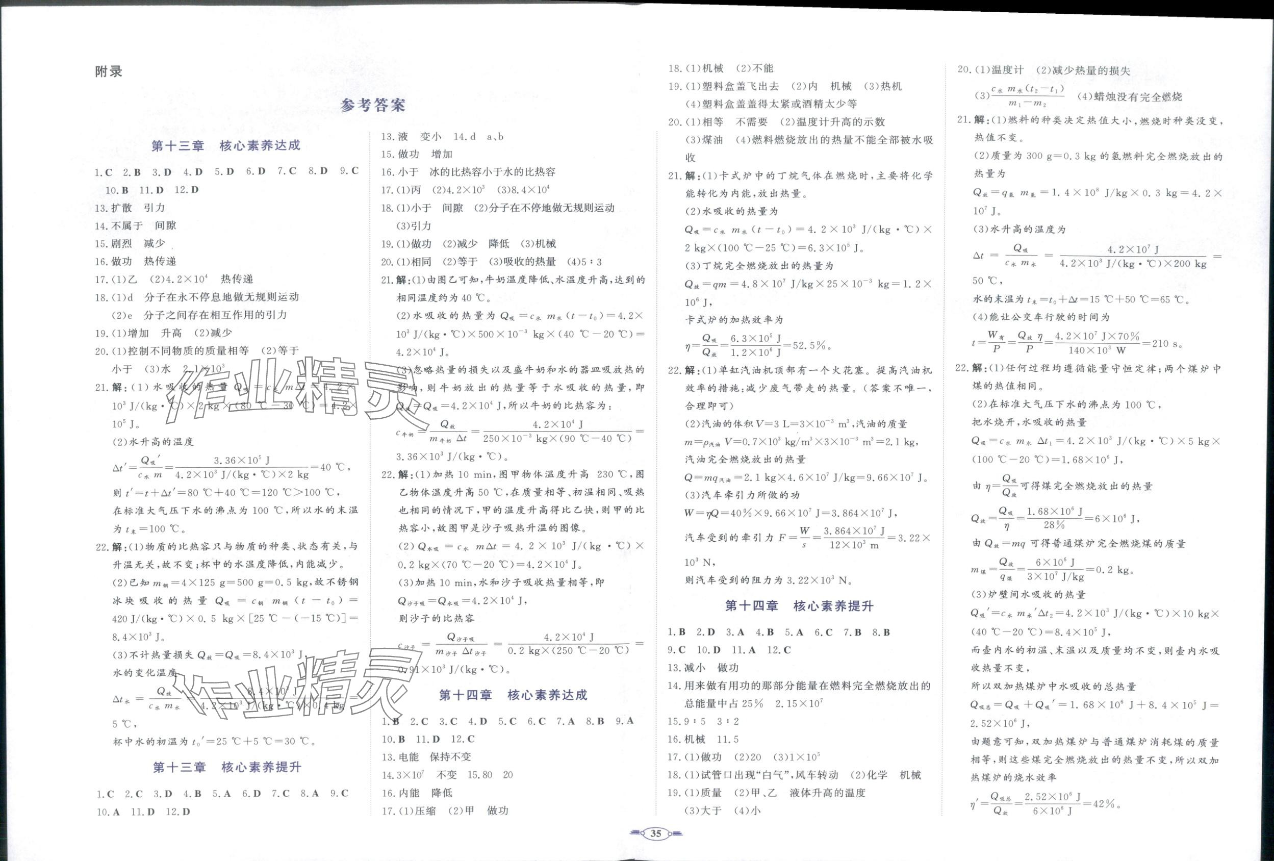 2025年同步优学核心素养评价九年级物理上册人教版 第1页