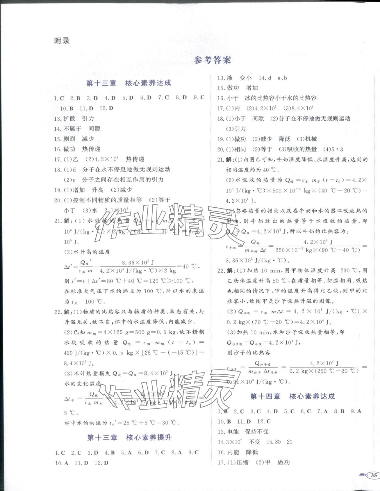 2025年同步优学核心素养评价九年级物理上册人教版 第1页