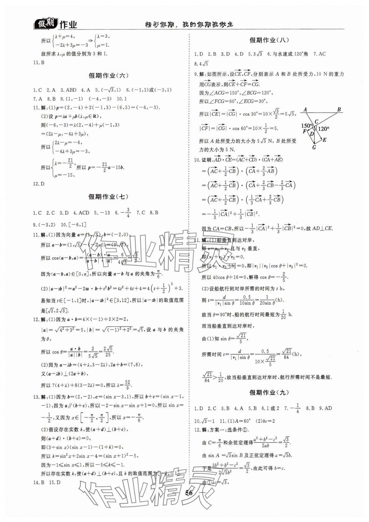 2025年优化方案精彩假期高一数学 第2页