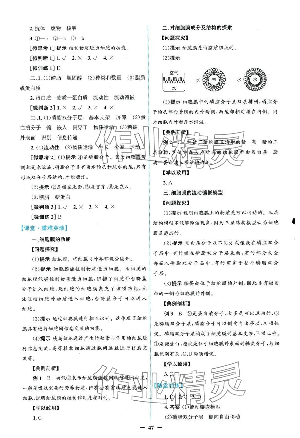 2024年南方新课堂金牌学案高中生物必修1人教版 第7页