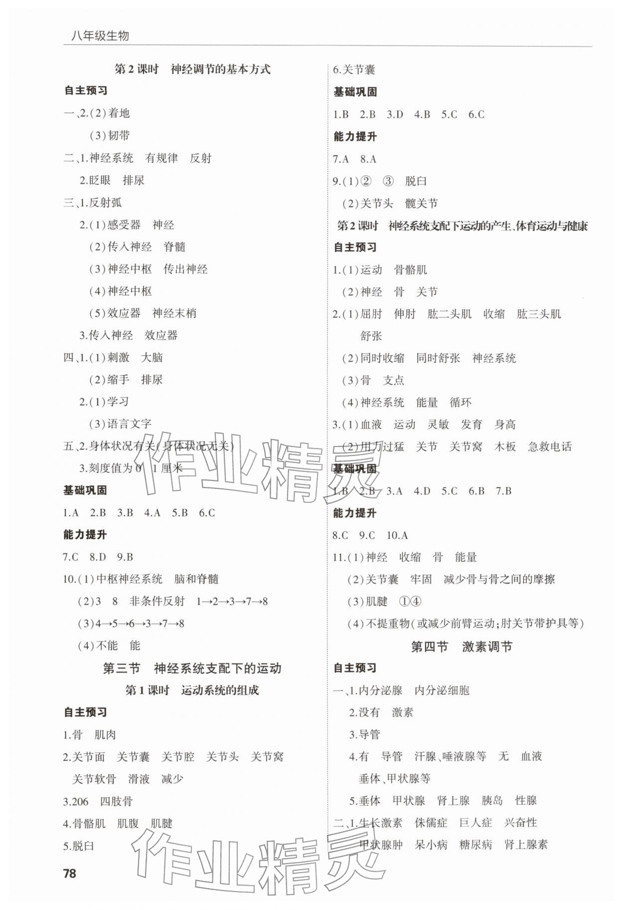 2025年高效通教材精析精练八年级生物上册人教版 第2页